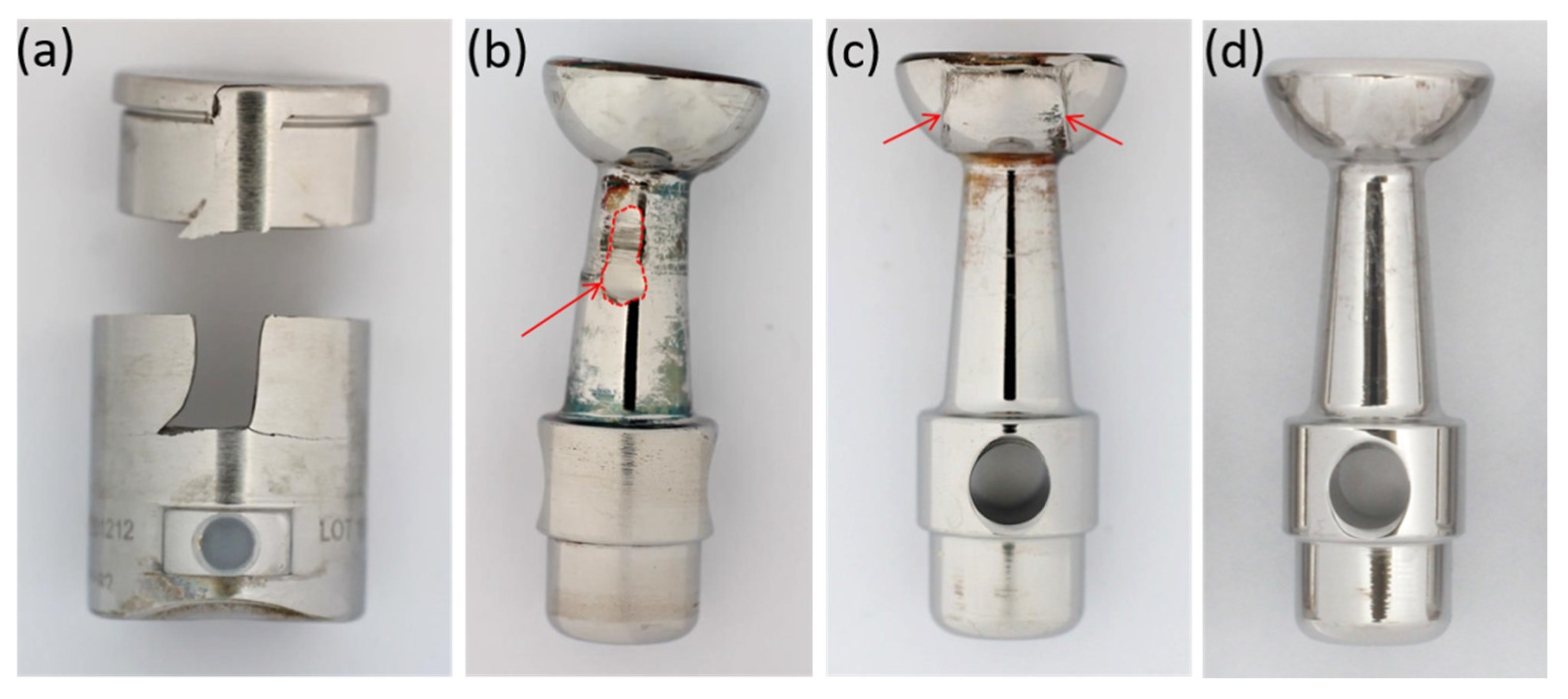 Materials 13 01519 g005