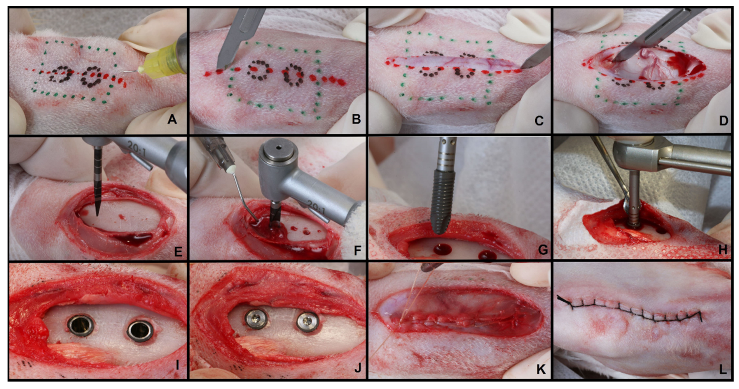 Materials 13 01521 g002 Materials 13 01521 g002
