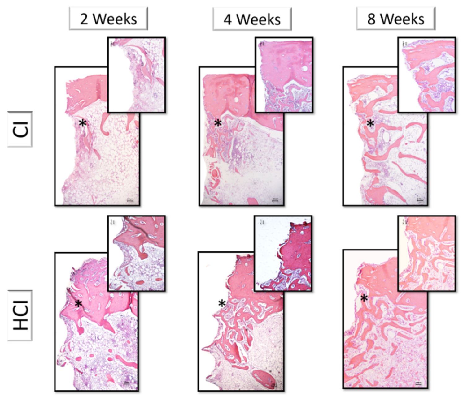 Materials 13 01521 g007 Materials 13 01521 g007