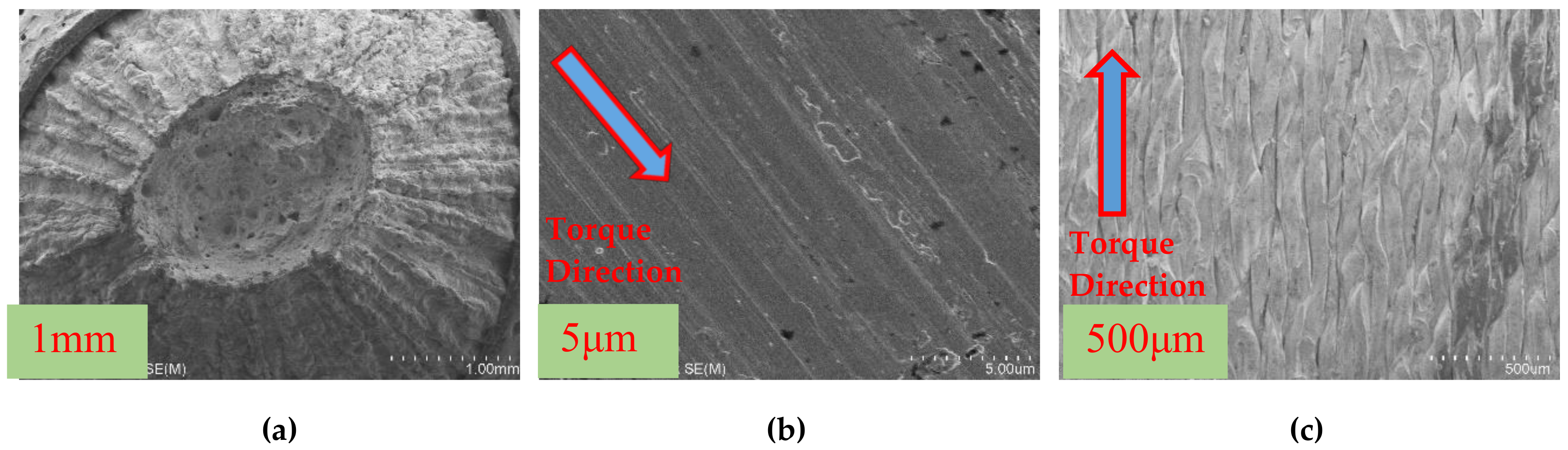 Materials 13 01528 g007