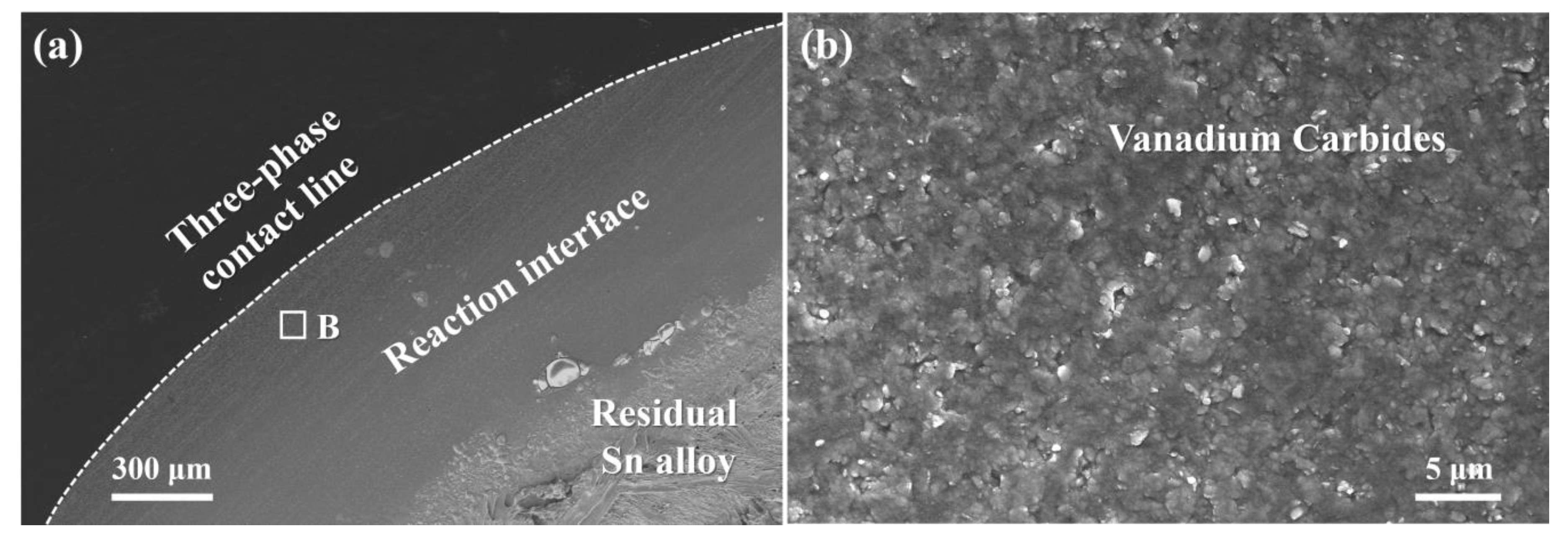Materials 13 01532 g004 Materials 13 01532 g004