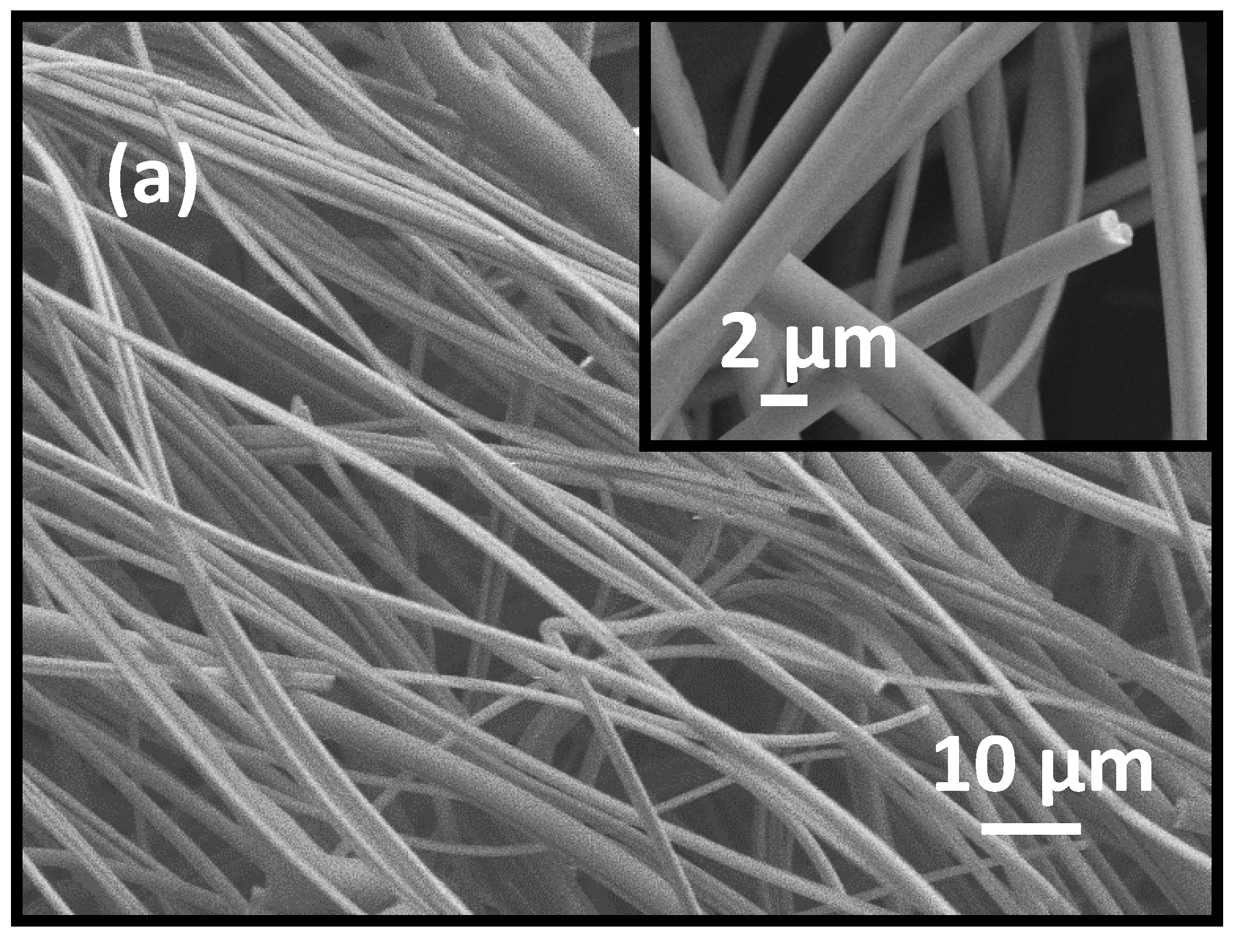Materials 13 01539 g002a Materials 13 01539 g002a