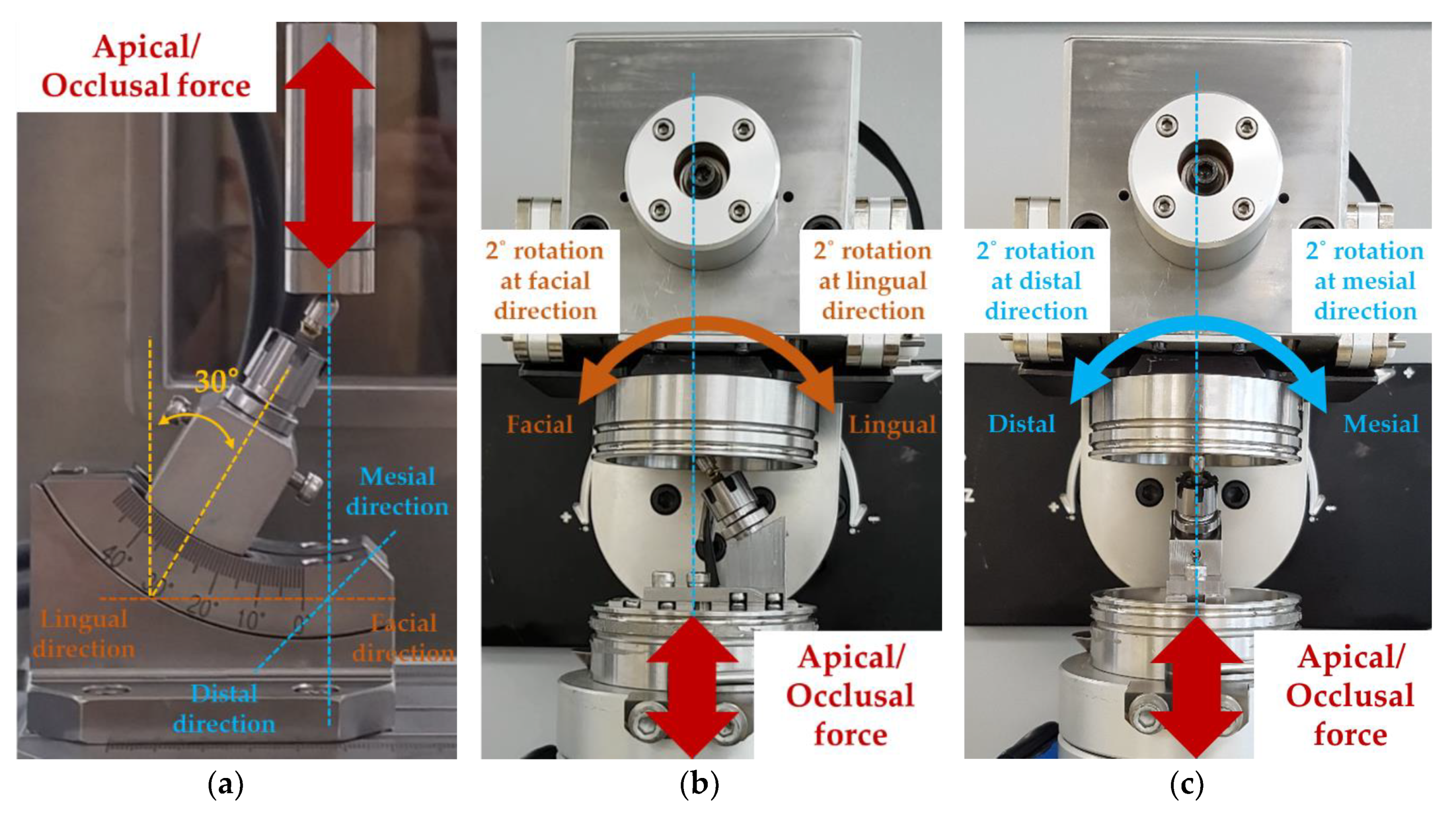 Materials 13 01545 g003 Materials 13 01545 g003