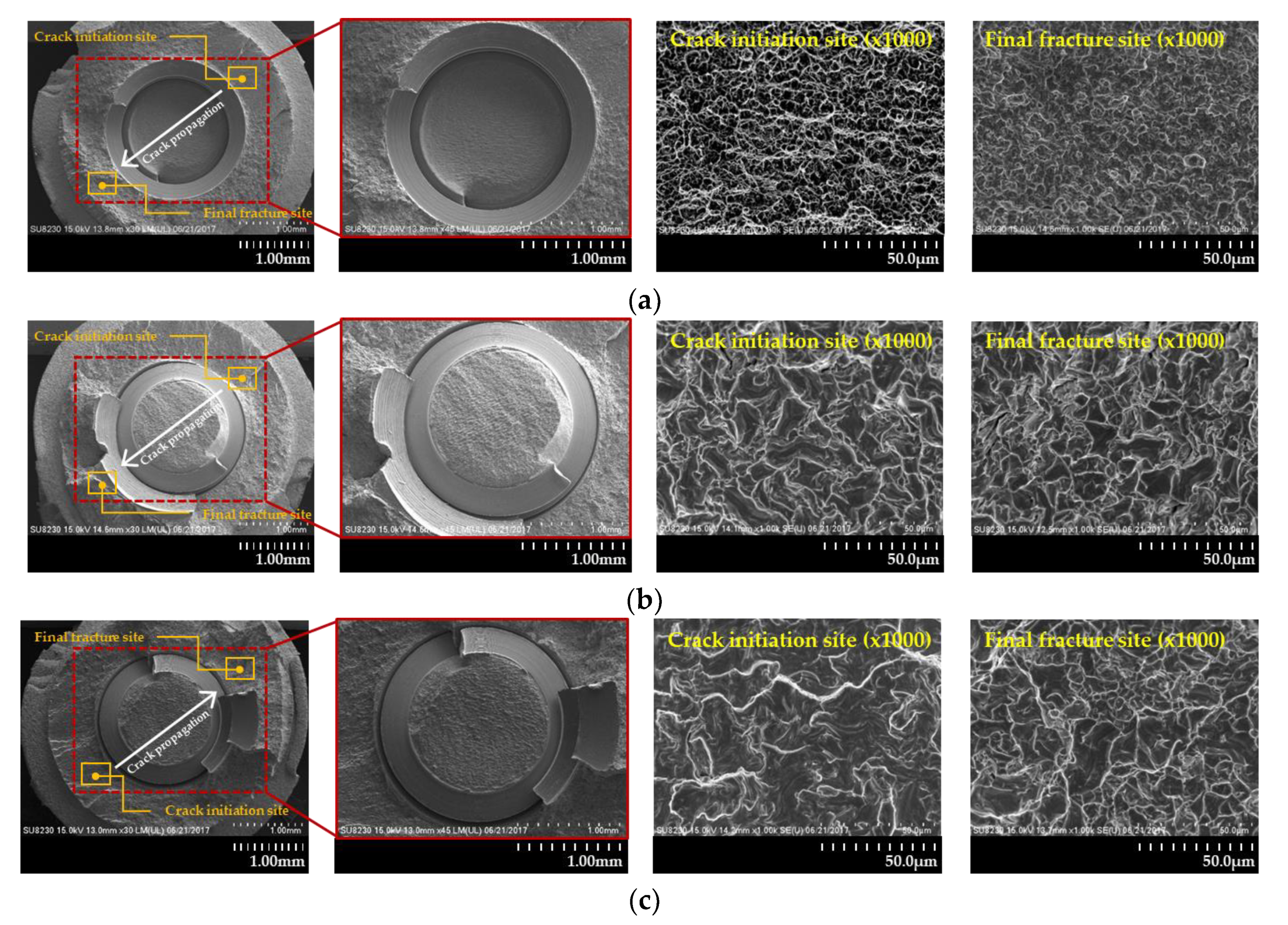 Materials 13 01545 g007 Materials 13 01545 g007
