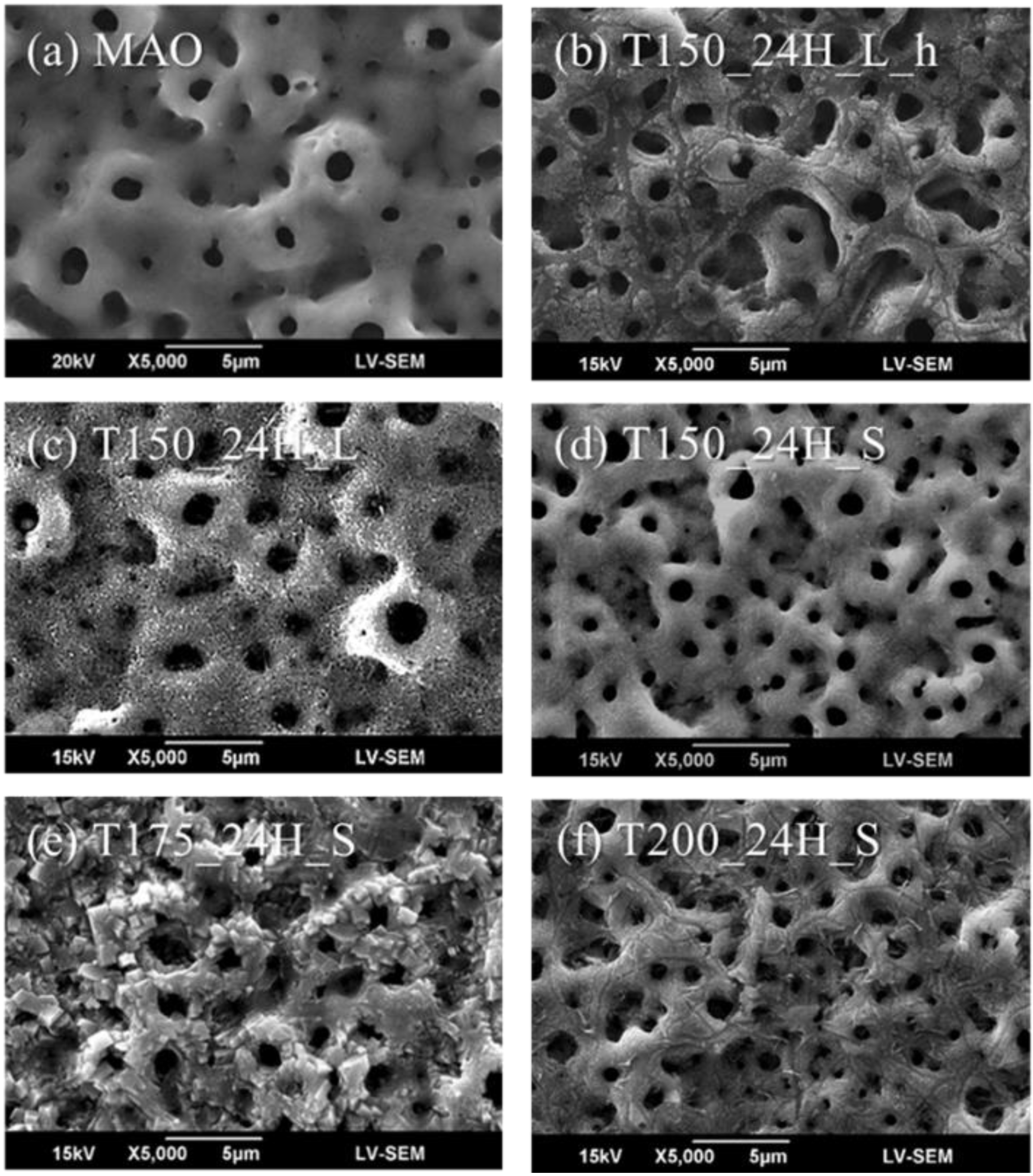Materials Free FullText Nano/Micro Hierarchical Bioceramic