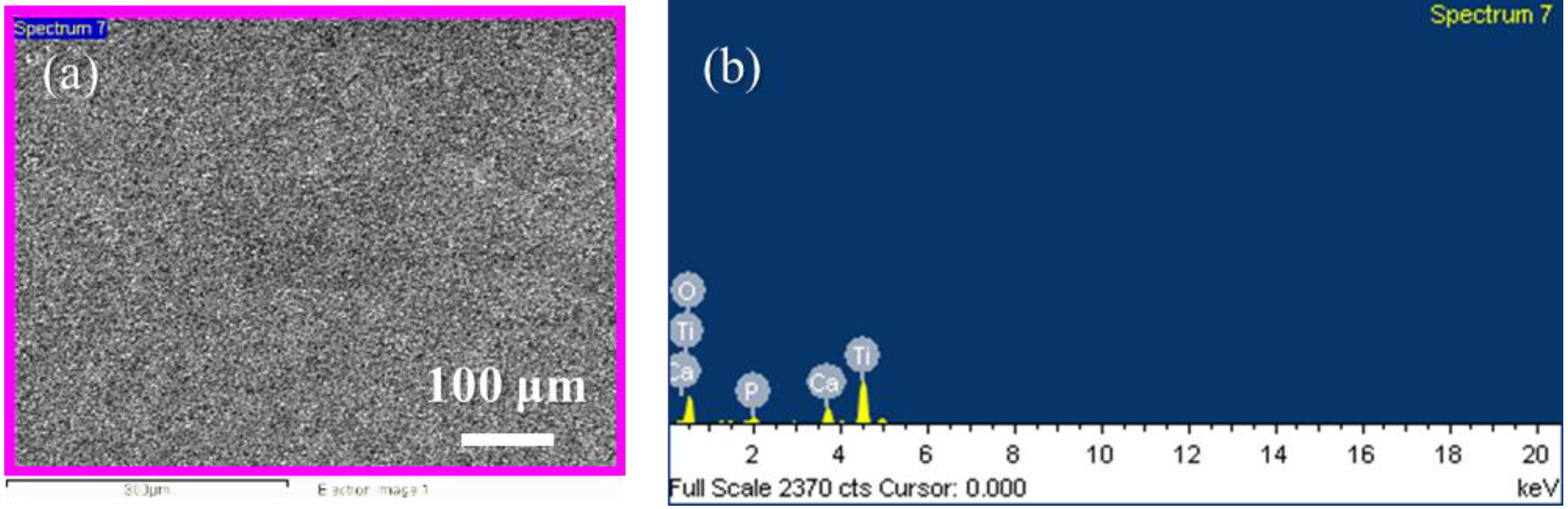 Materials 13 01548 g003