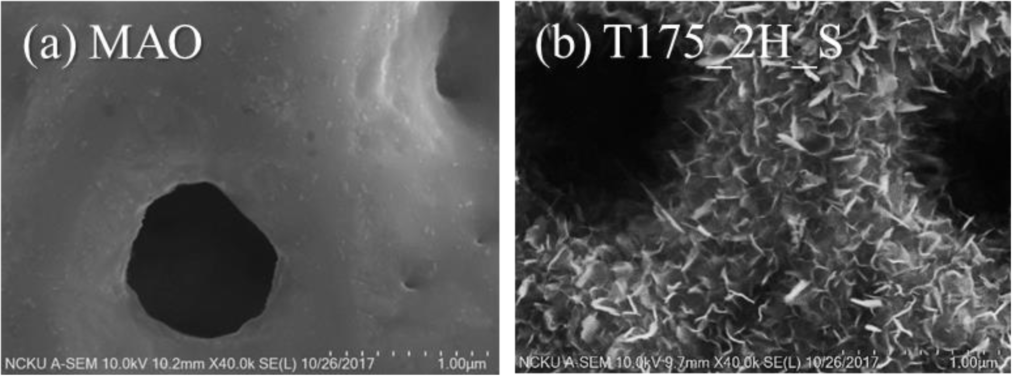 Materials Free FullText Nano/Micro Hierarchical Bioceramic