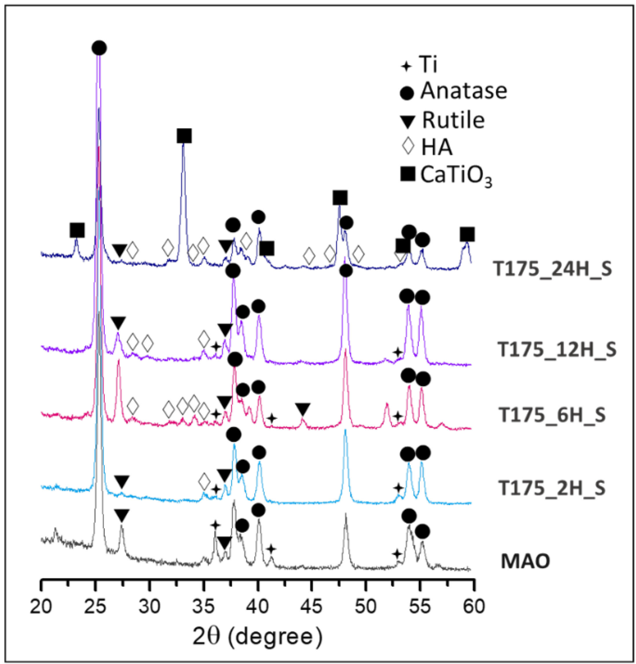 Materials Free FullText Nano/Micro Hierarchical Bioceramic
