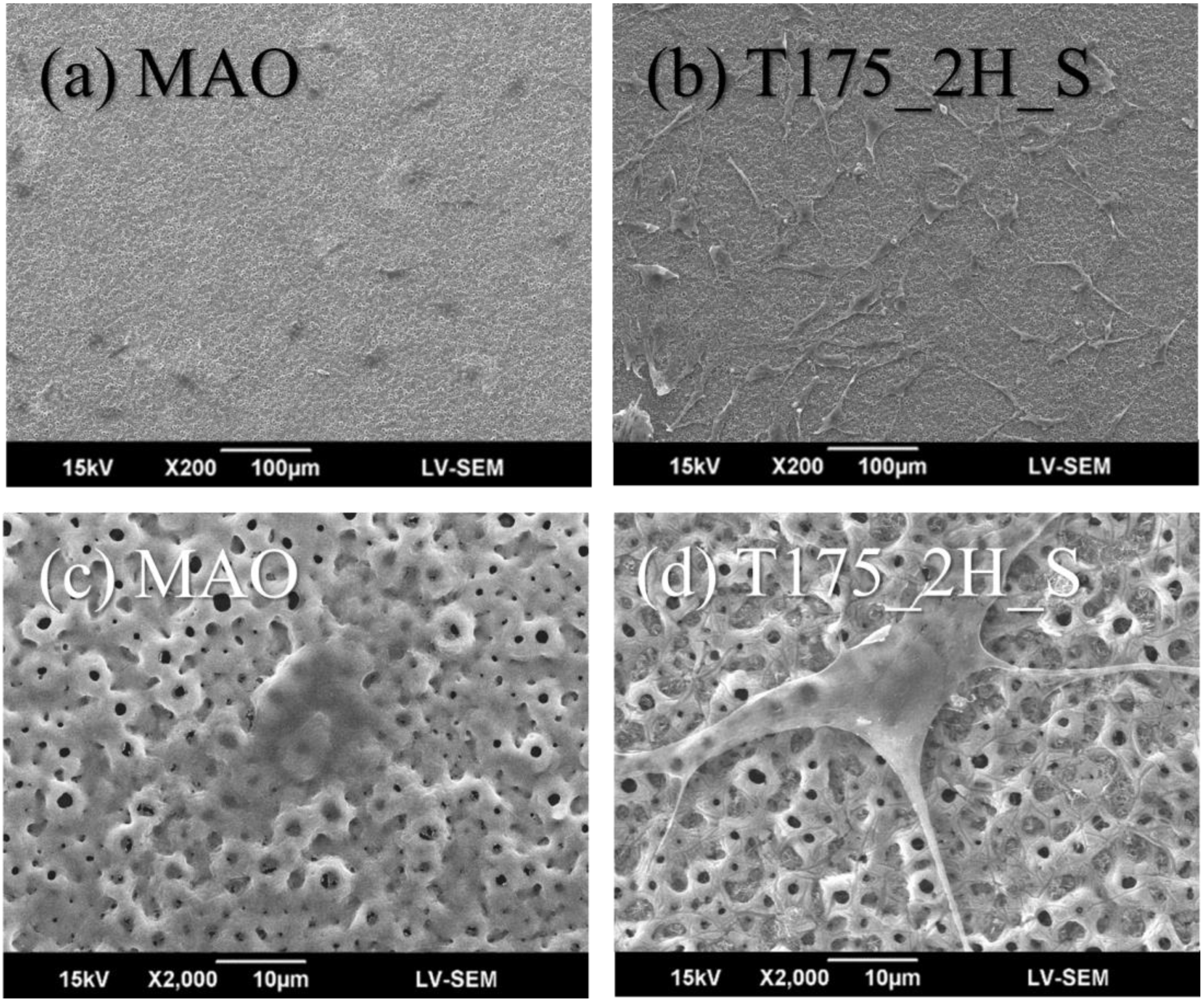 Materials 13 01548 g007