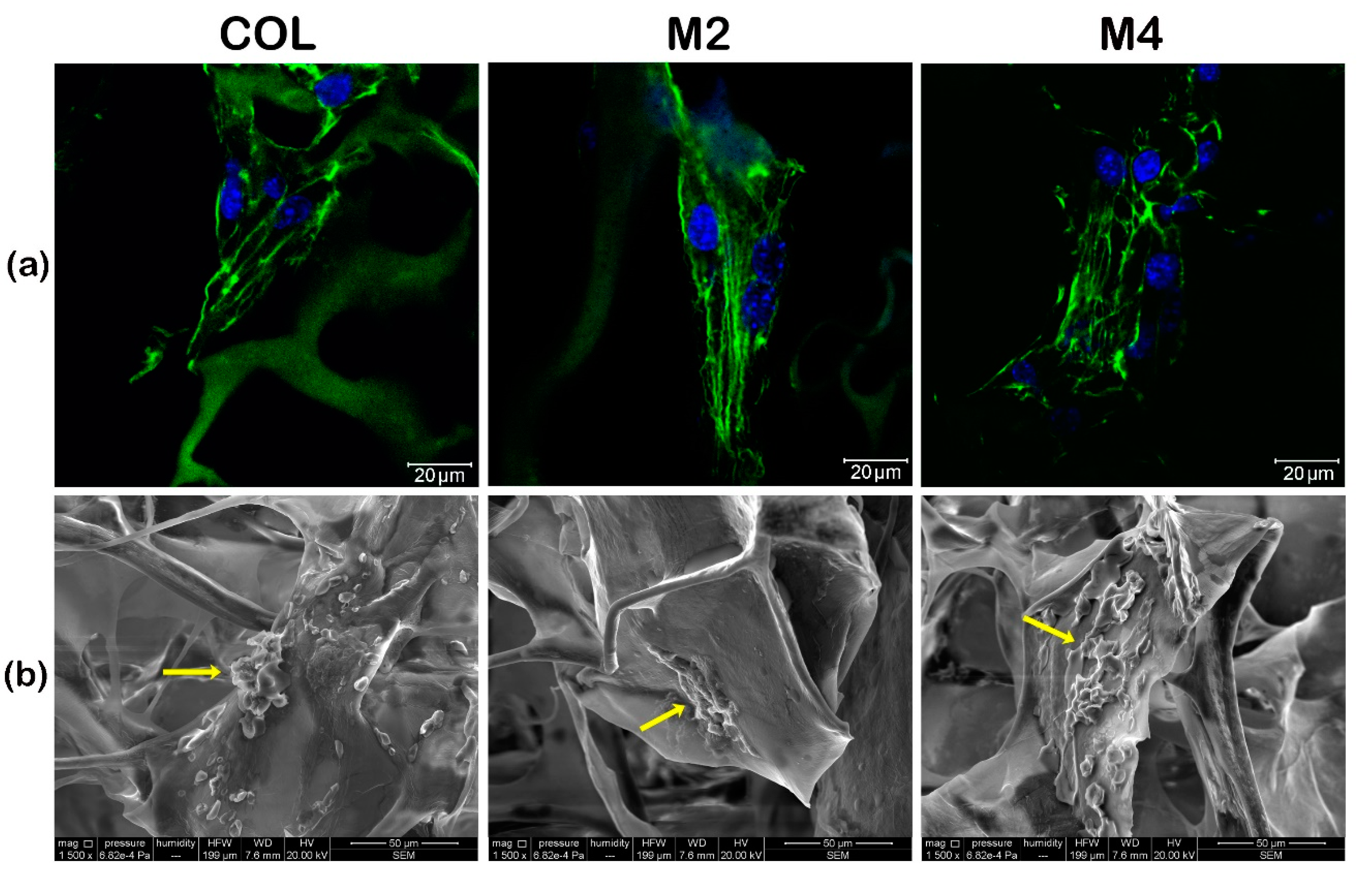 Materials 13 01550 g001 Materials 13 01550 g001