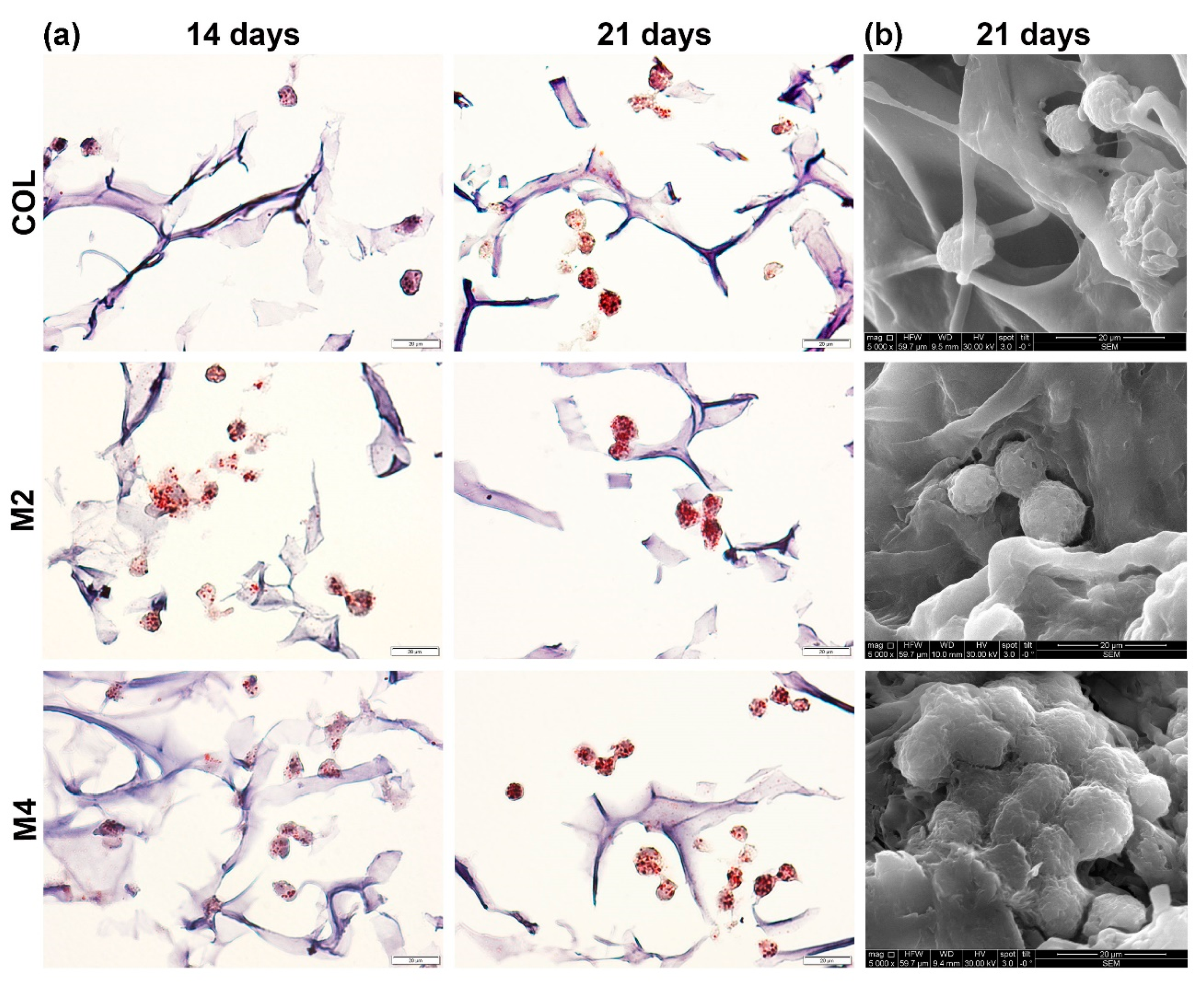 Materials 13 01550 g002 Materials 13 01550 g002