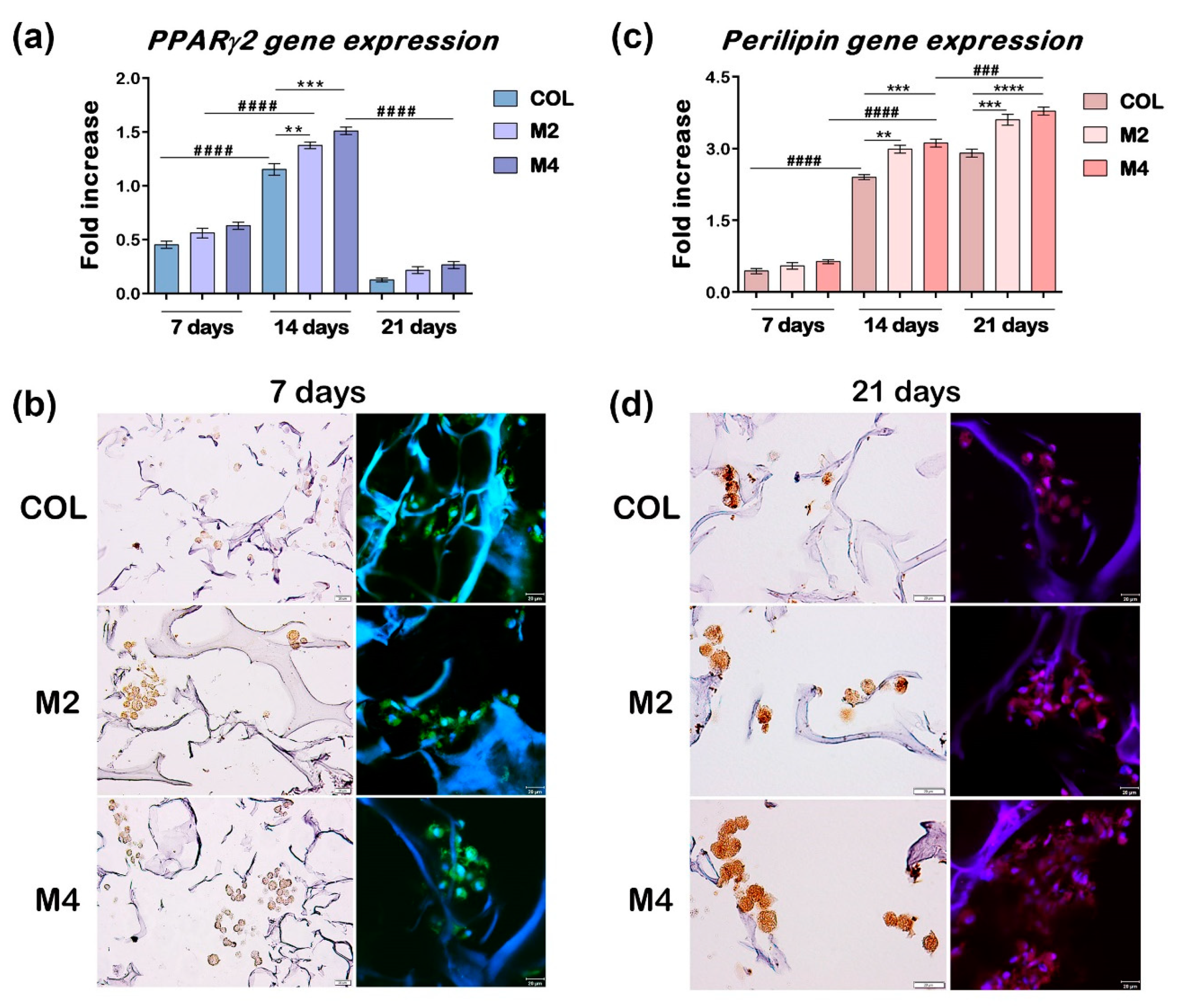 Materials 13 01550 g003 Materials 13 01550 g003