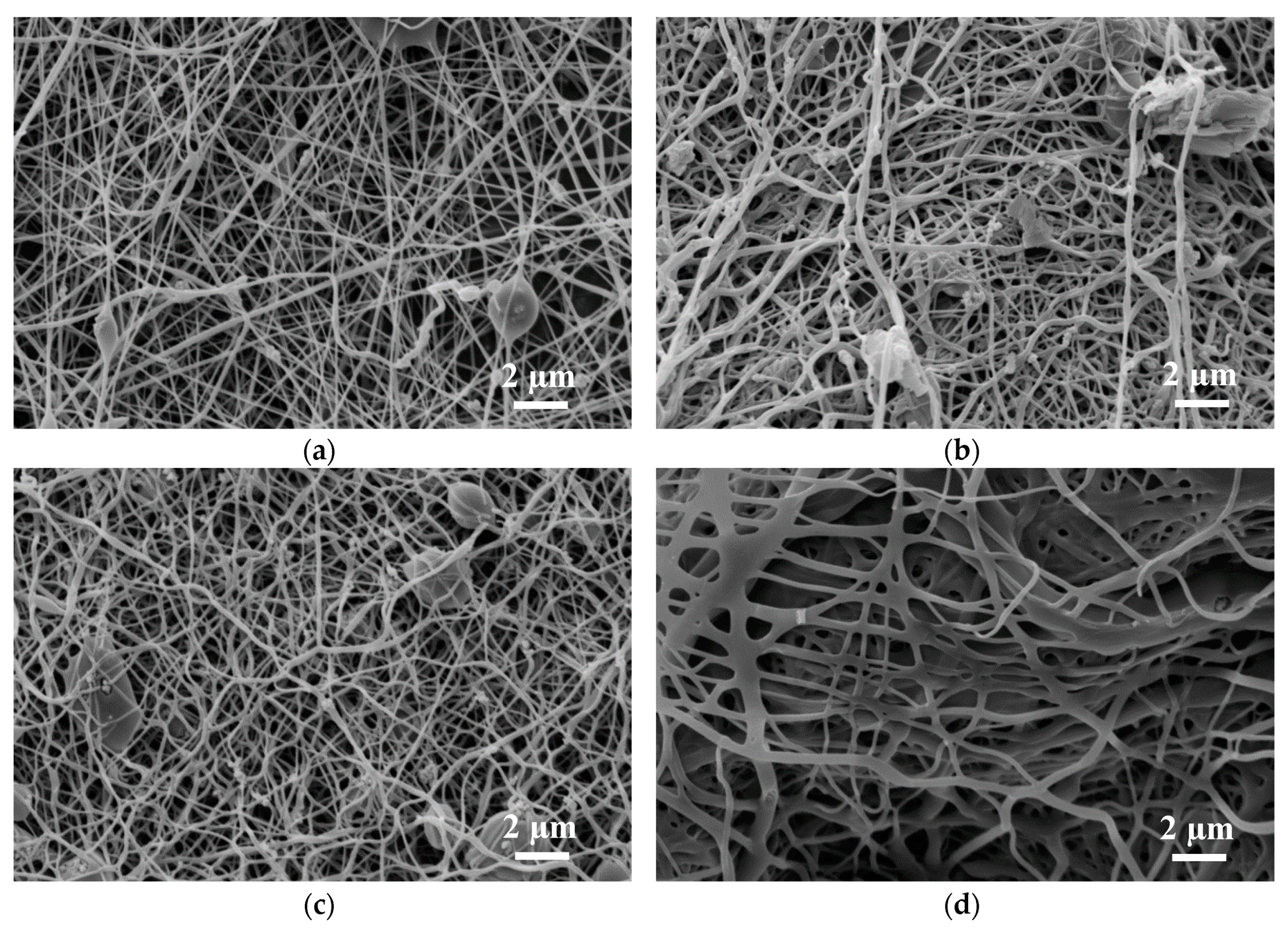 Materials 13 01552 g002 Materials 13 01552 g002