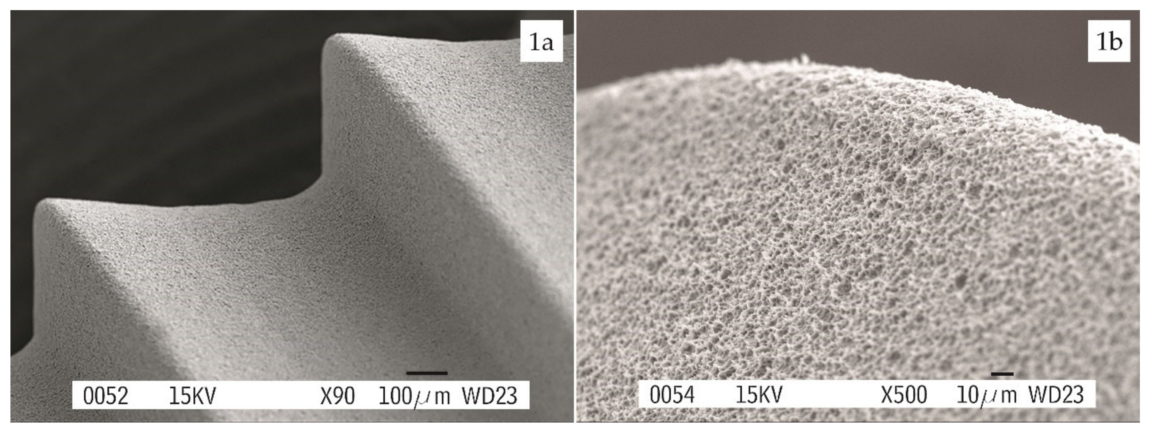 Materials 13 01553 g001