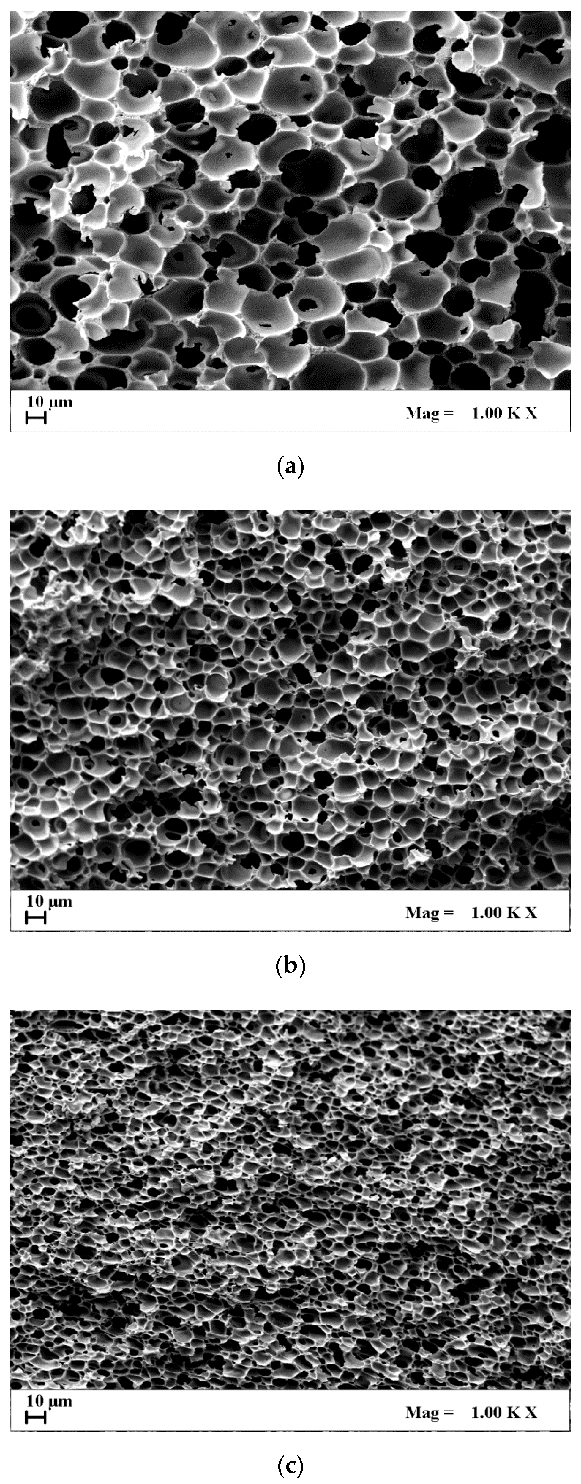 Materials 13 01560 g001