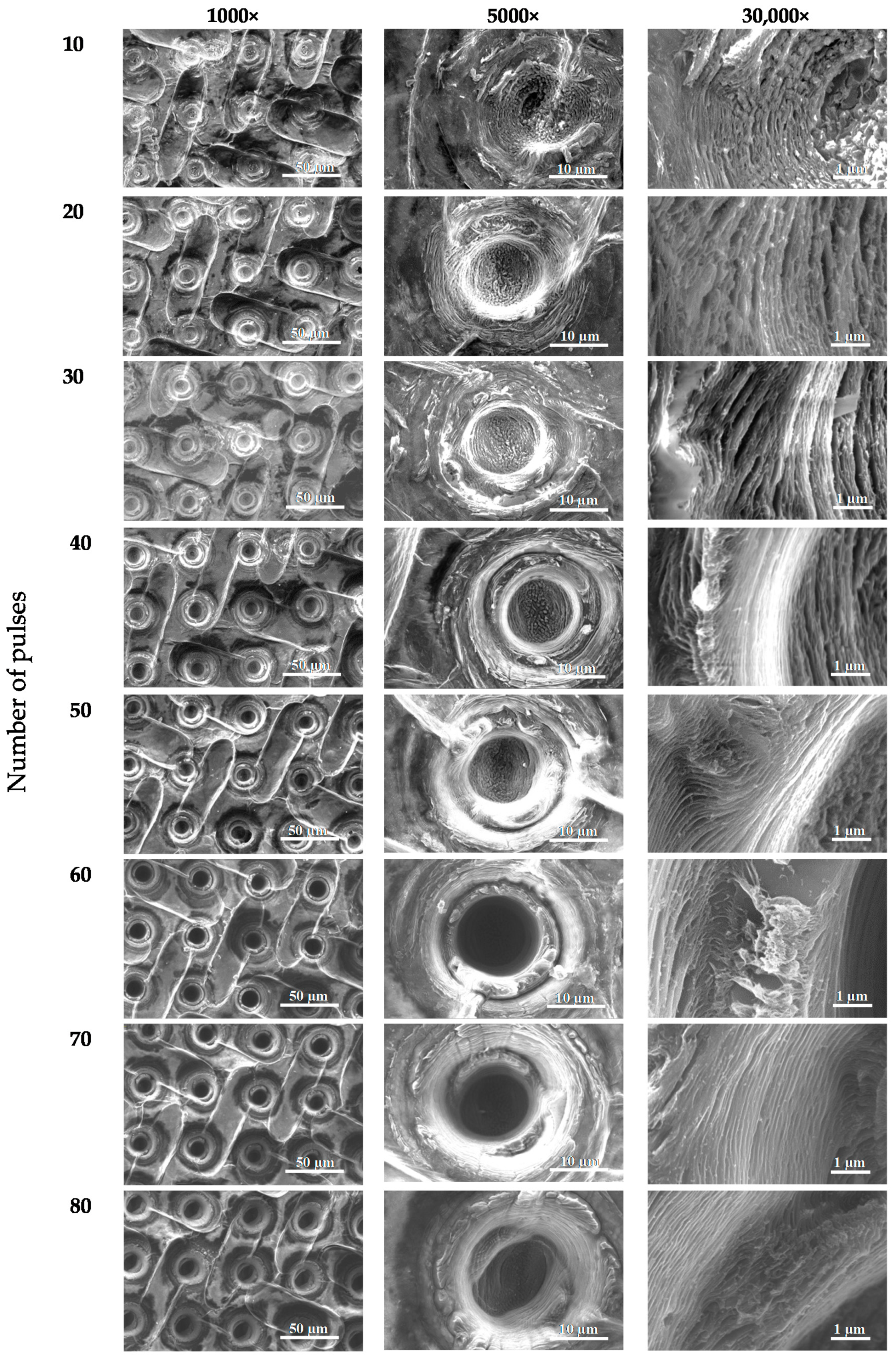 Materials 13 01568 g004 Materials 13 01568 g004