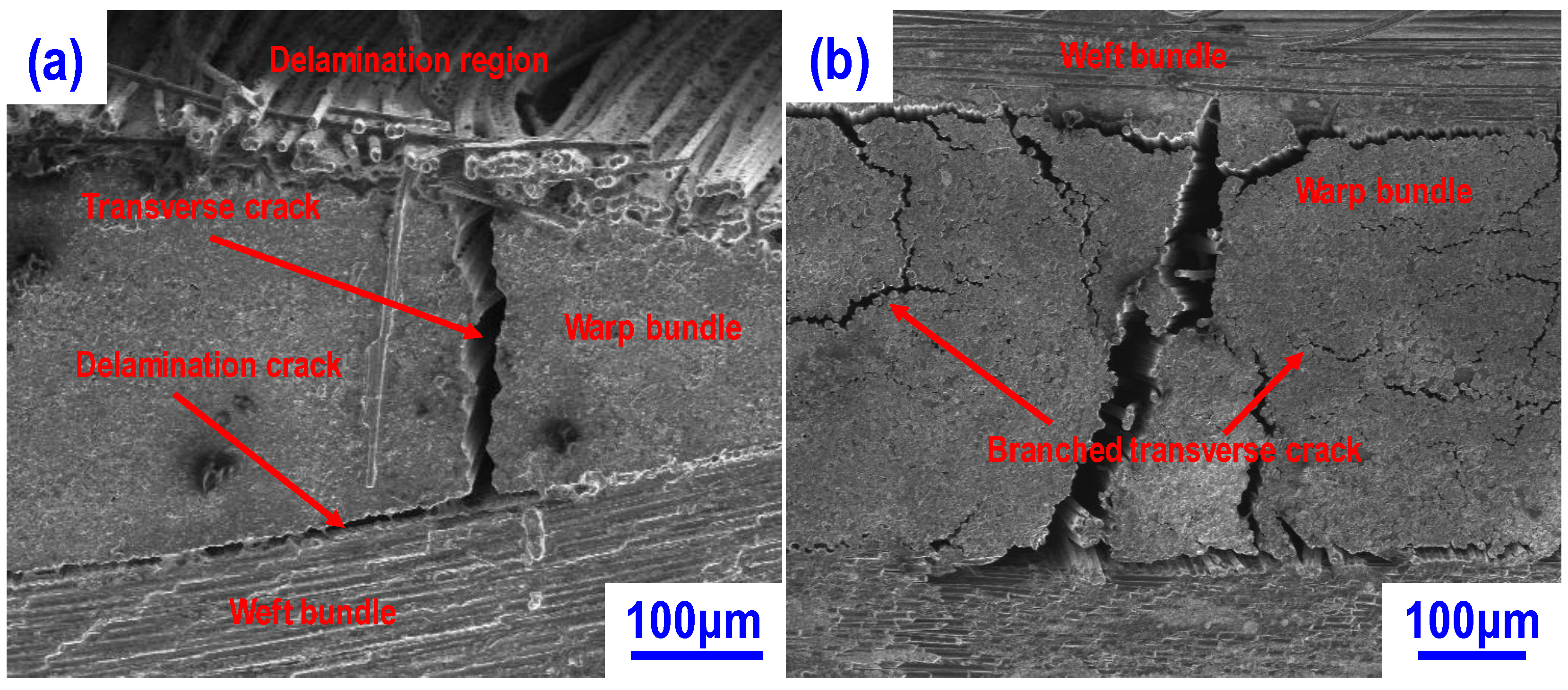 Materials 13 01581 g001