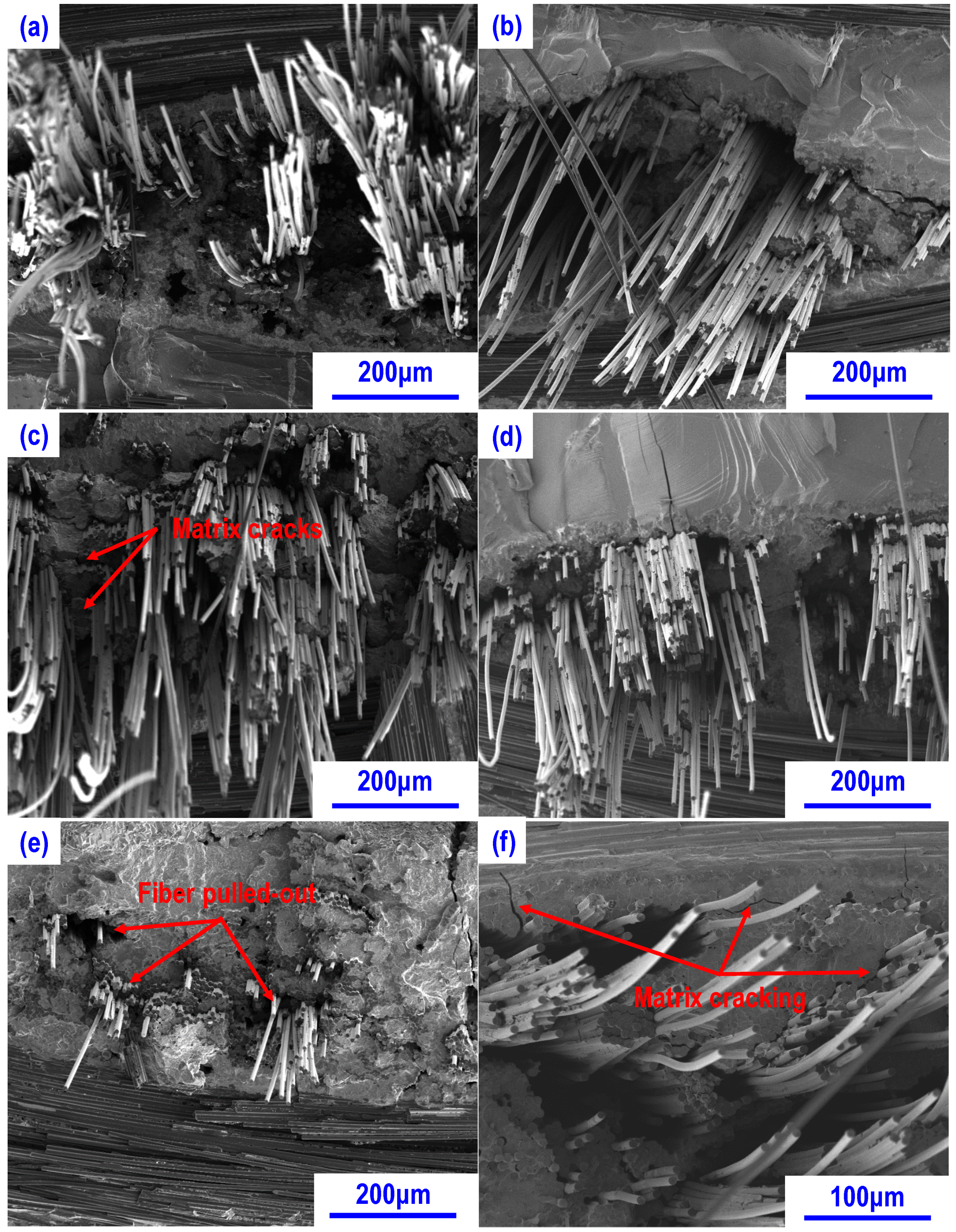 Materials 13 01581 g008