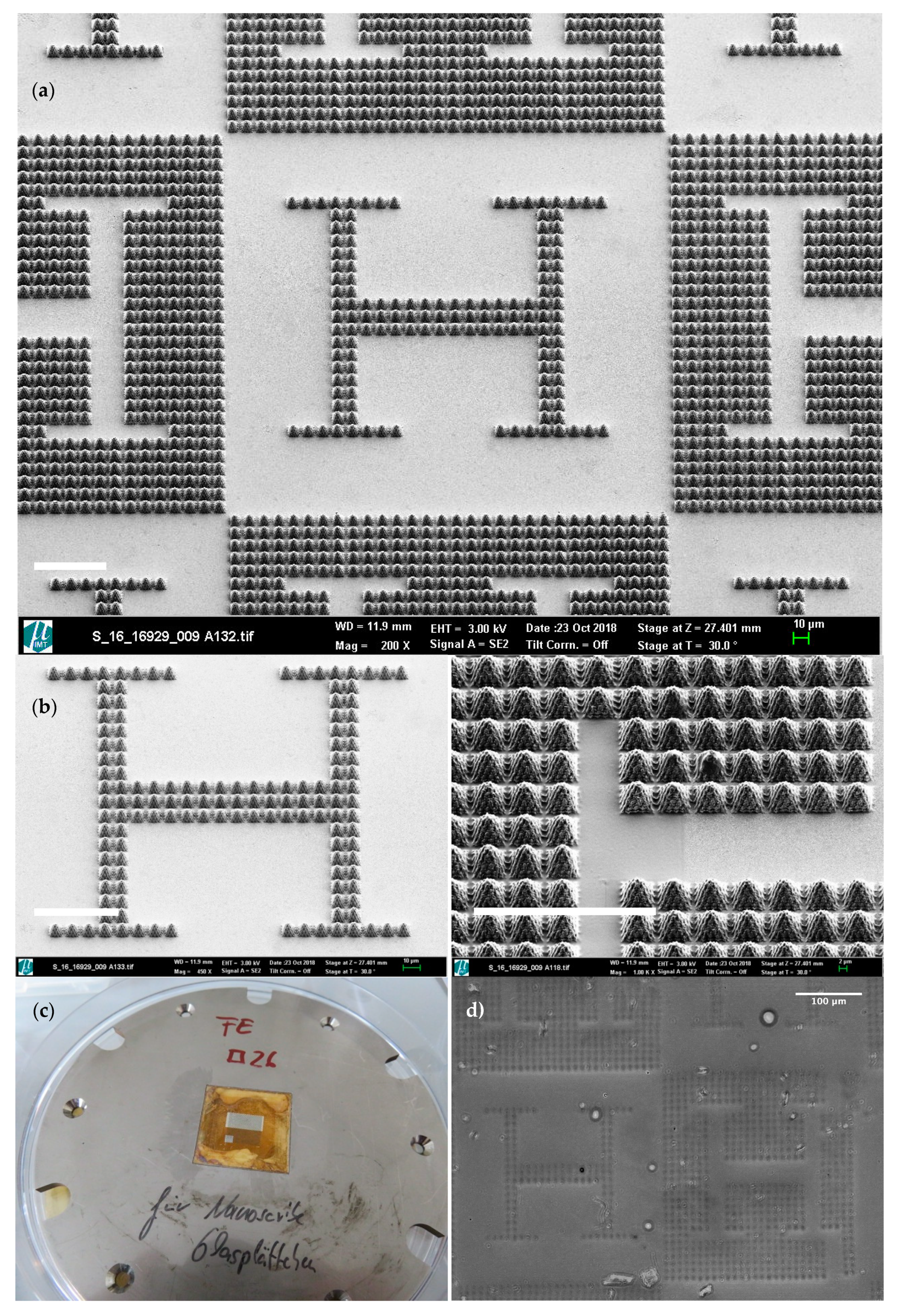 Materials 13 01586 g002