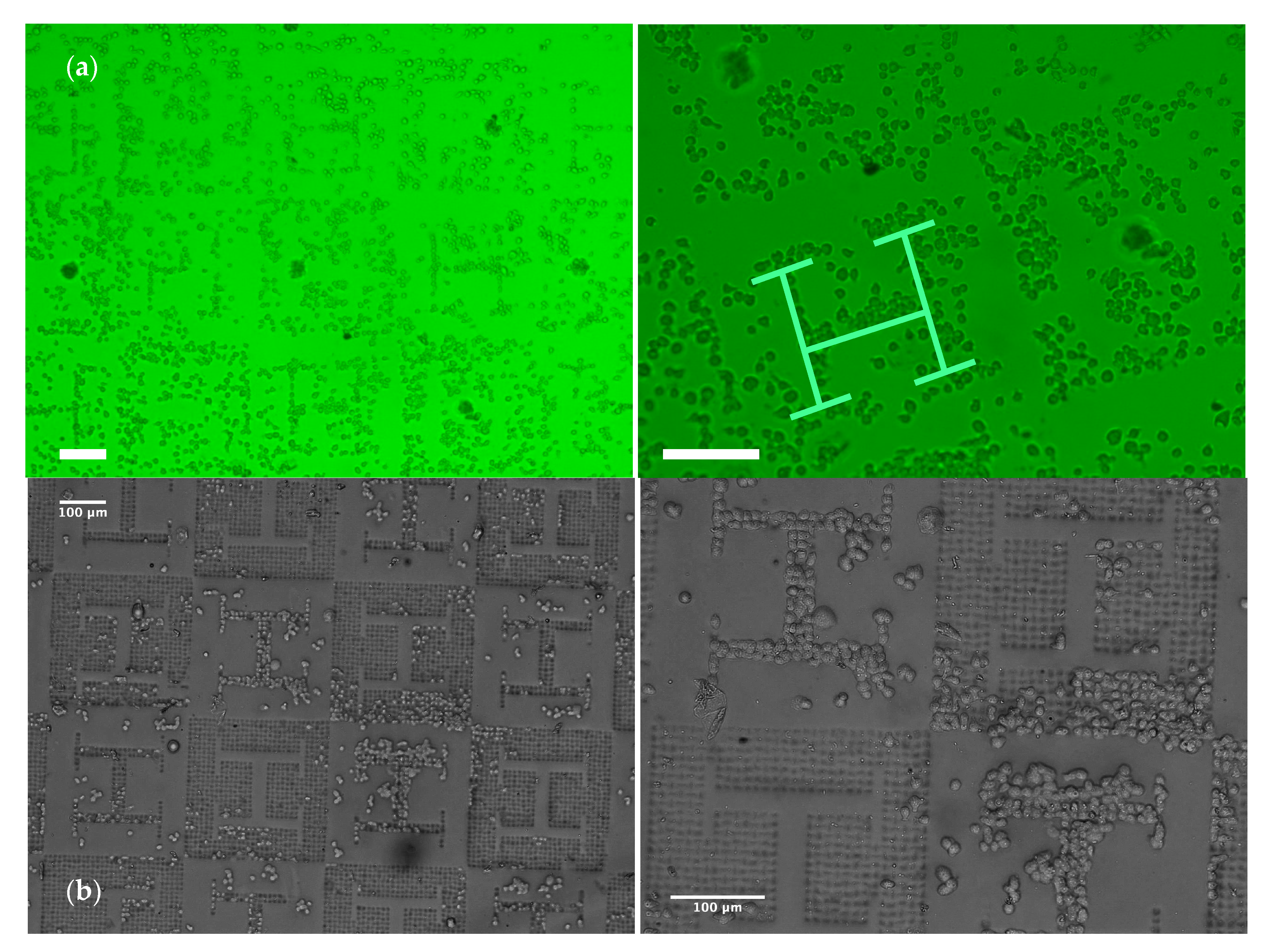 Materials 13 01586 g003