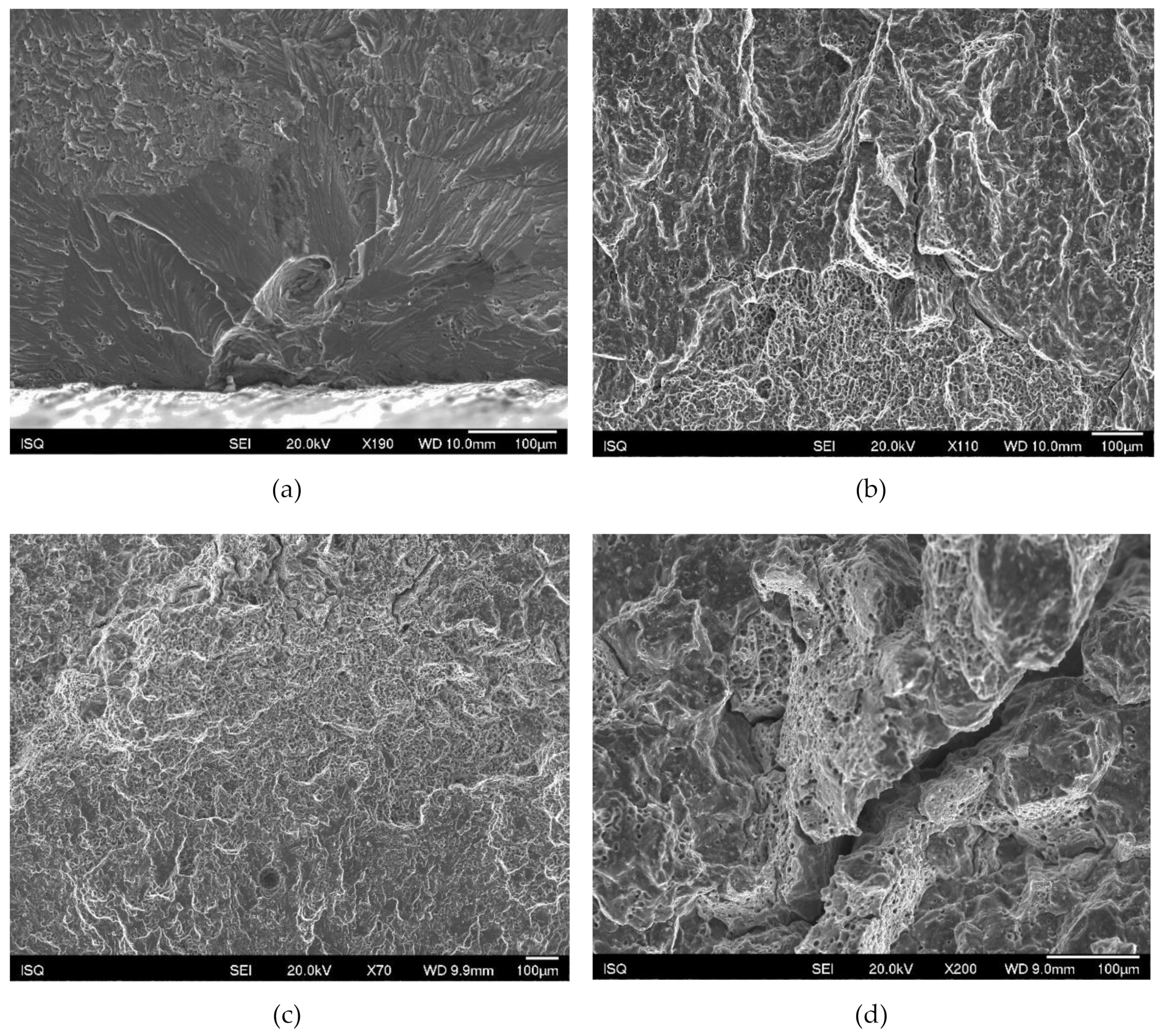 Materials 13 01610 g017