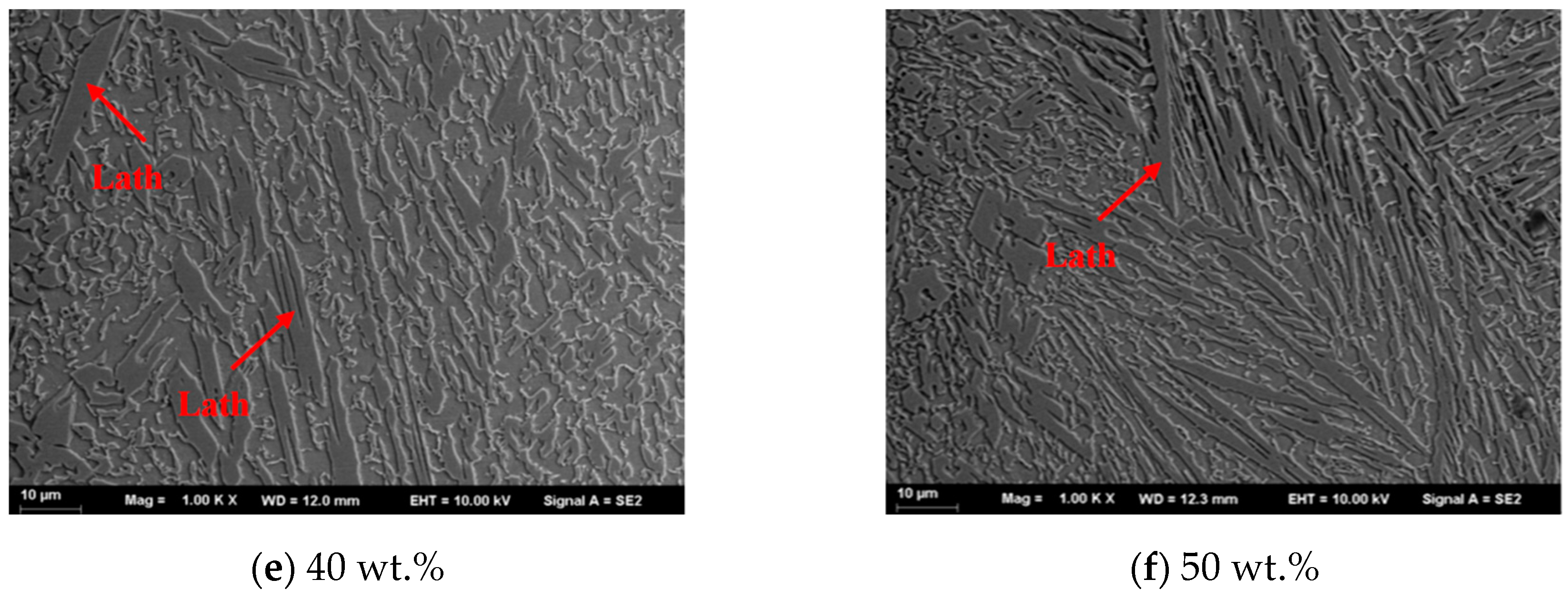 Materials 13 01611 g003b Materials 13 01611 g003b