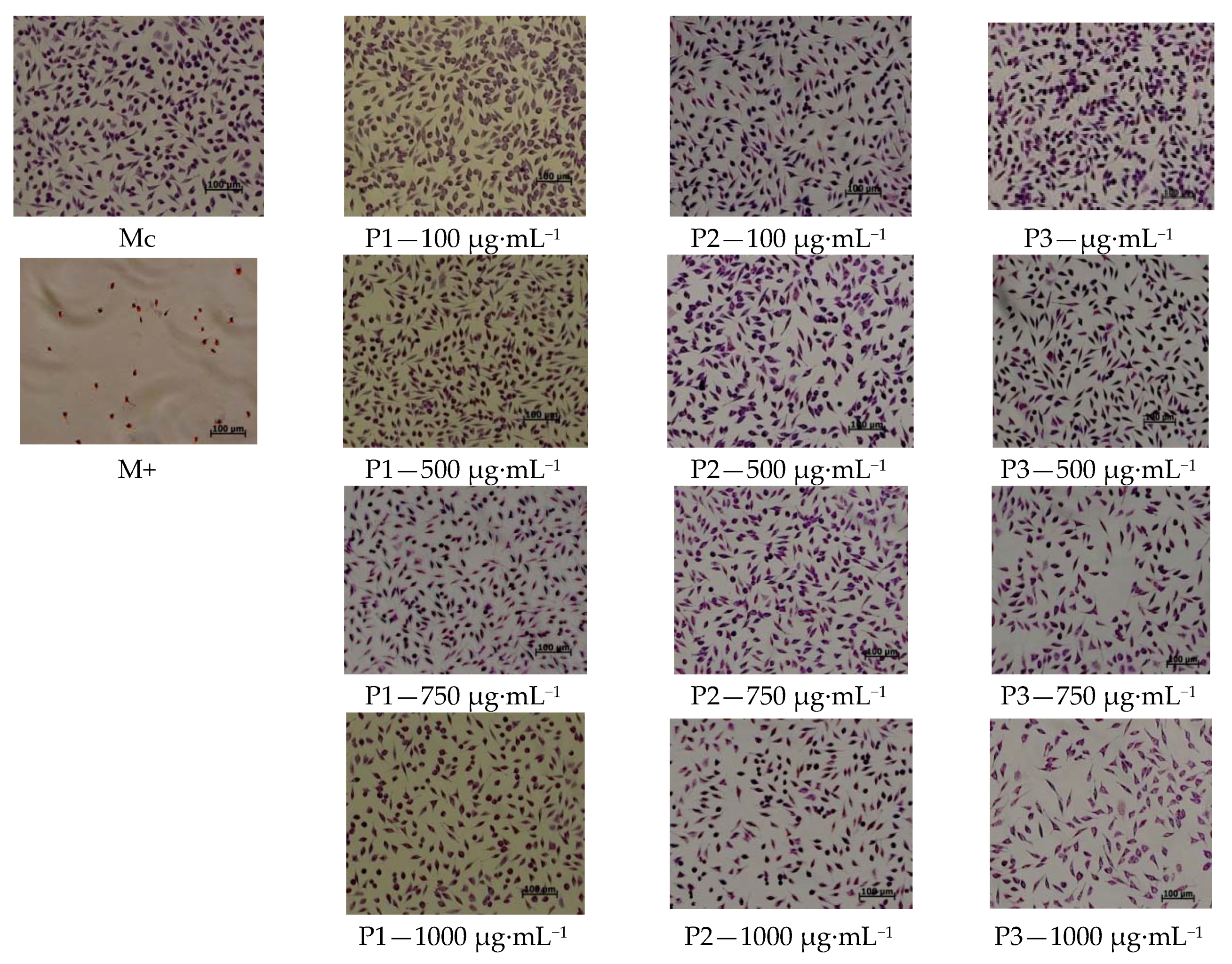 Materials 13 01618 g009 Materials 13 01618 g009