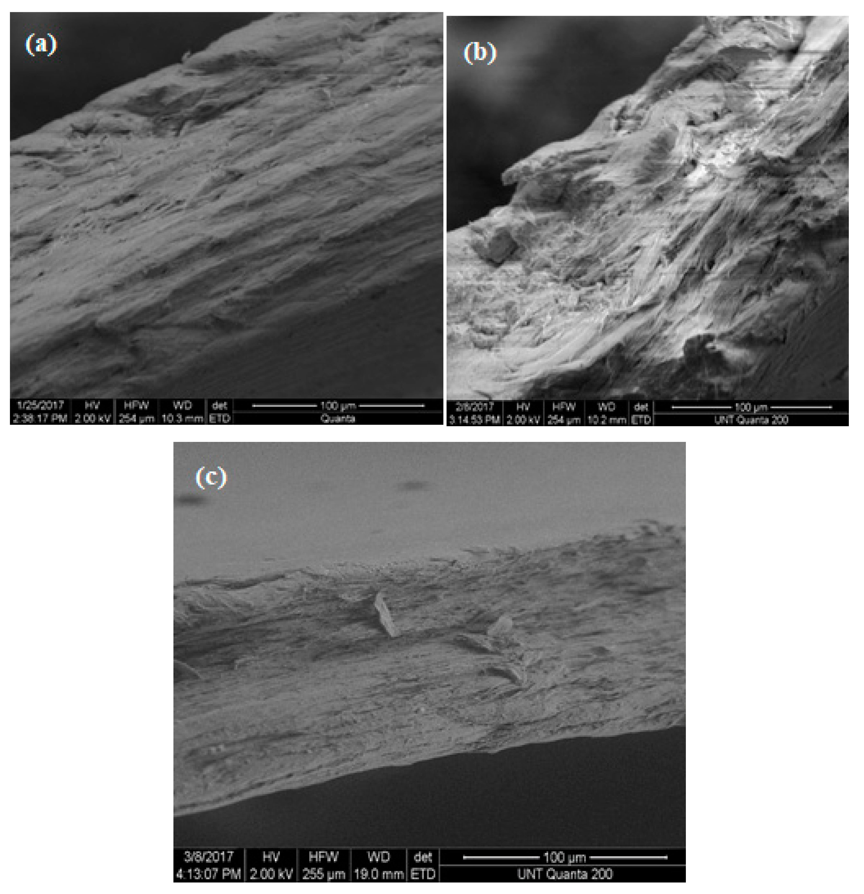 Materials 13 01626 g016 Materials 13 01626 g016