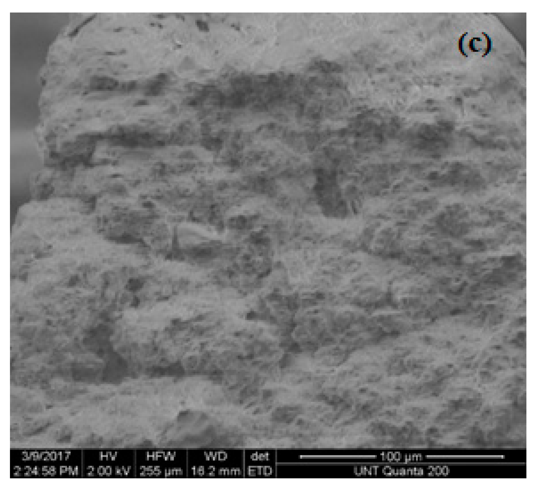 Materials 13 01626 g017b Materials 13 01626 g017b