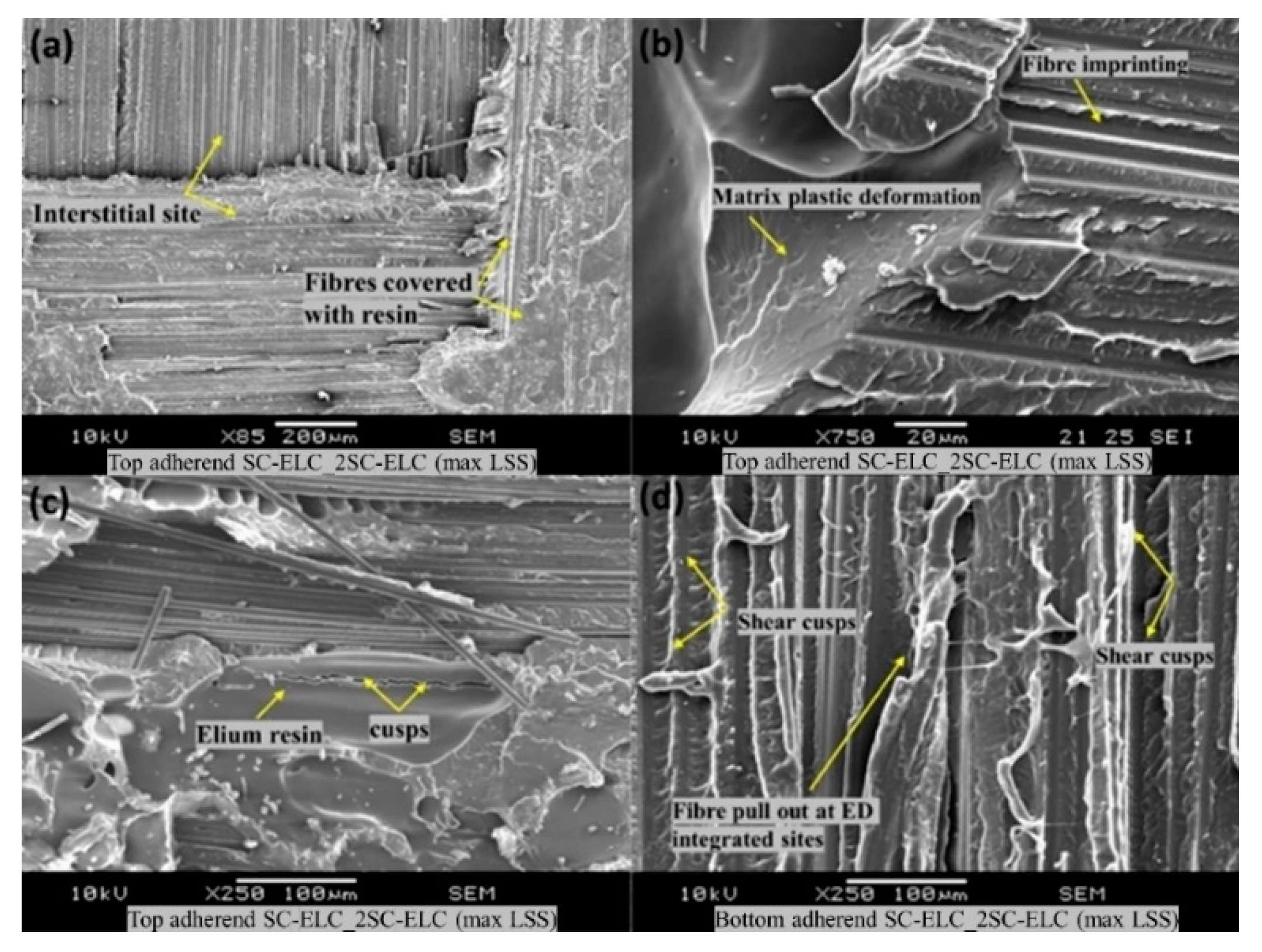 Materials 13 01634 g022