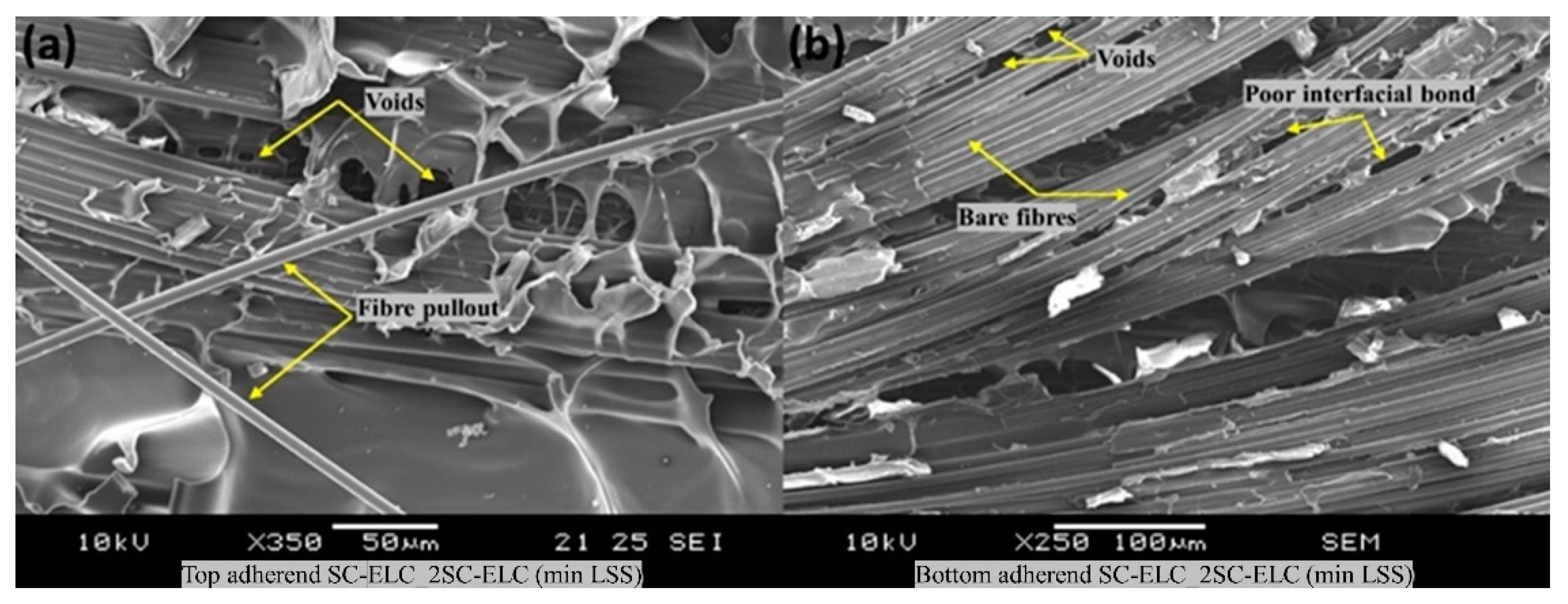 Materials 13 01634 g023