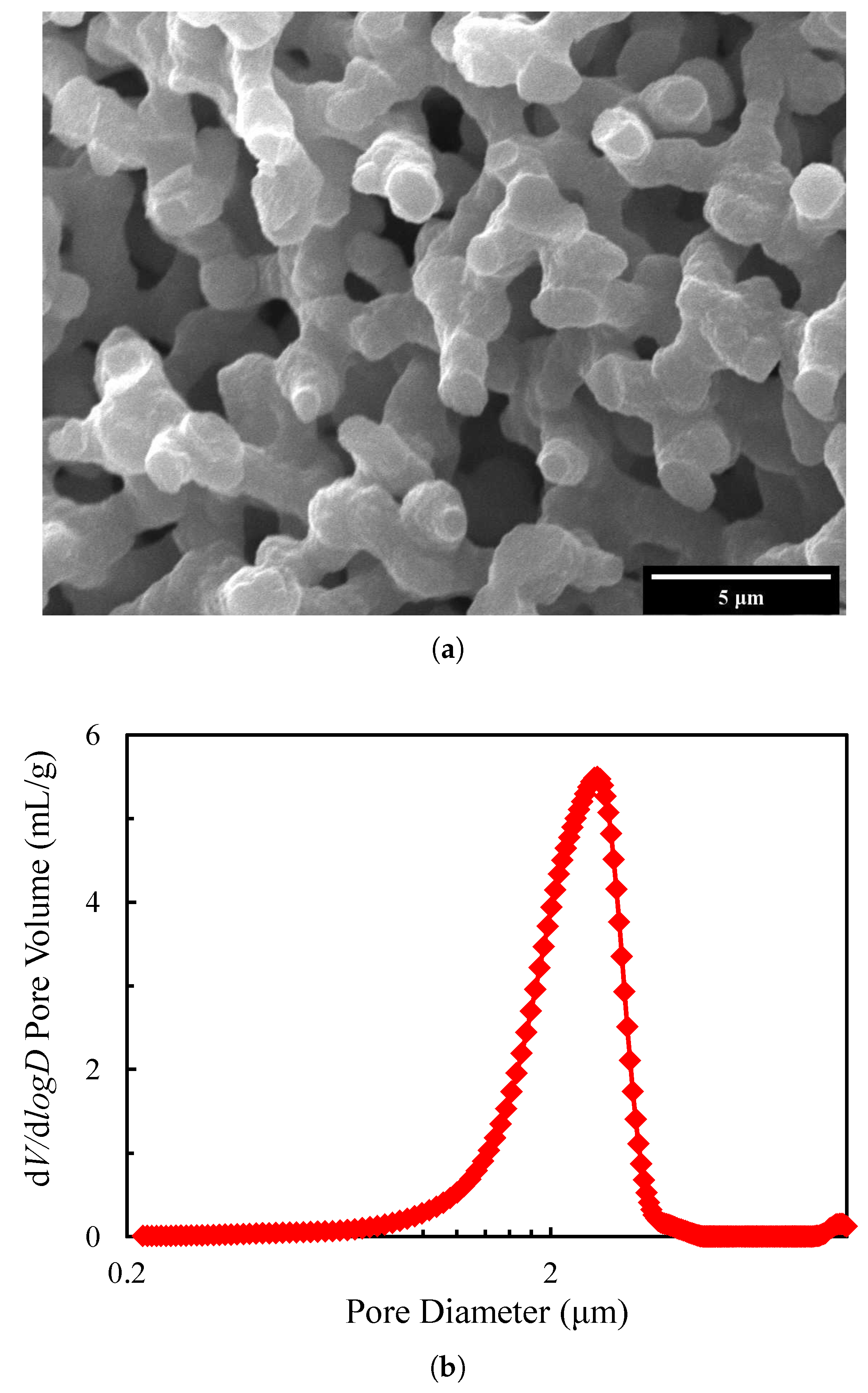 Materials 13 01635 g001 Materials 13 01635 g001