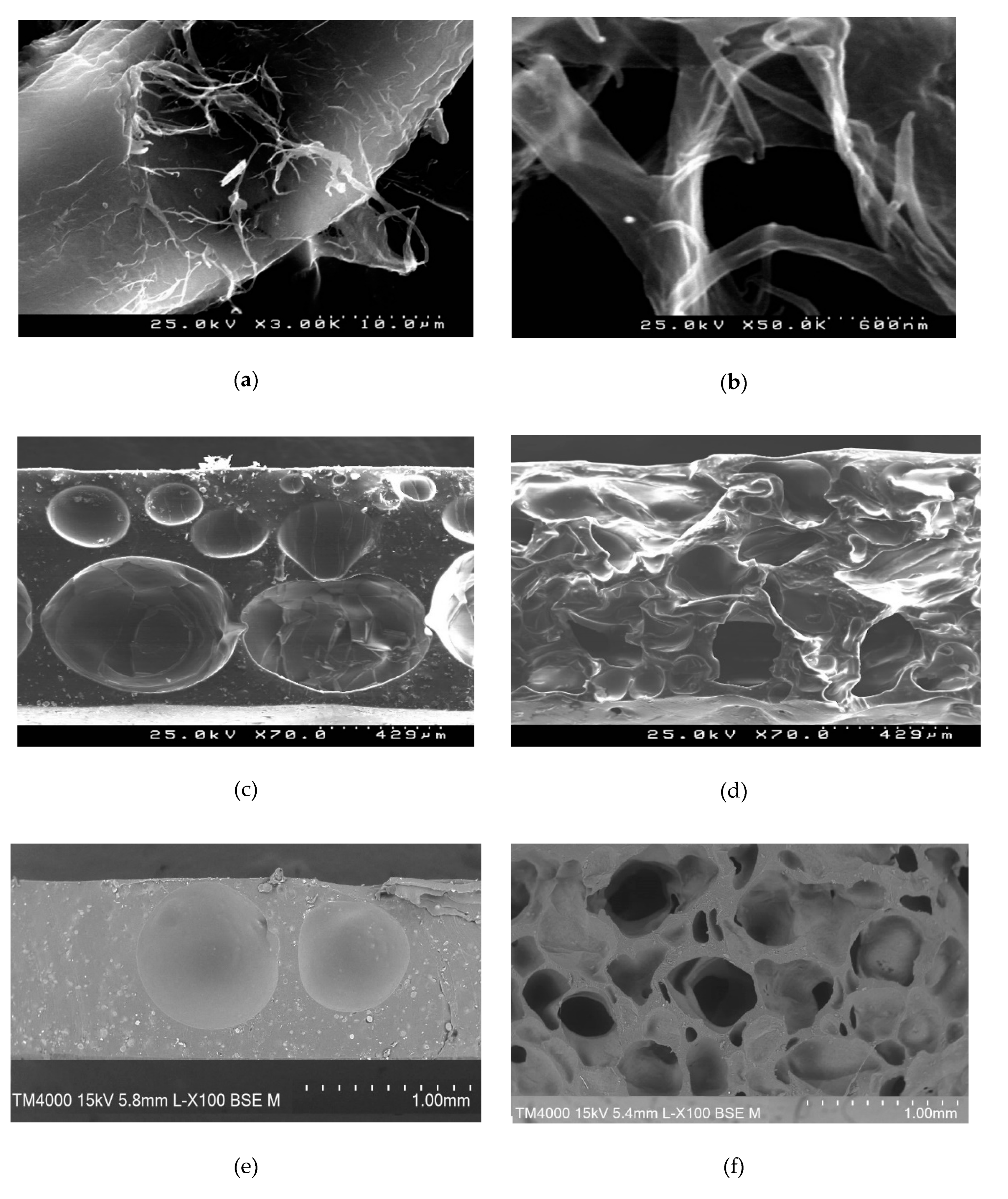 Materials 13 01637 g003