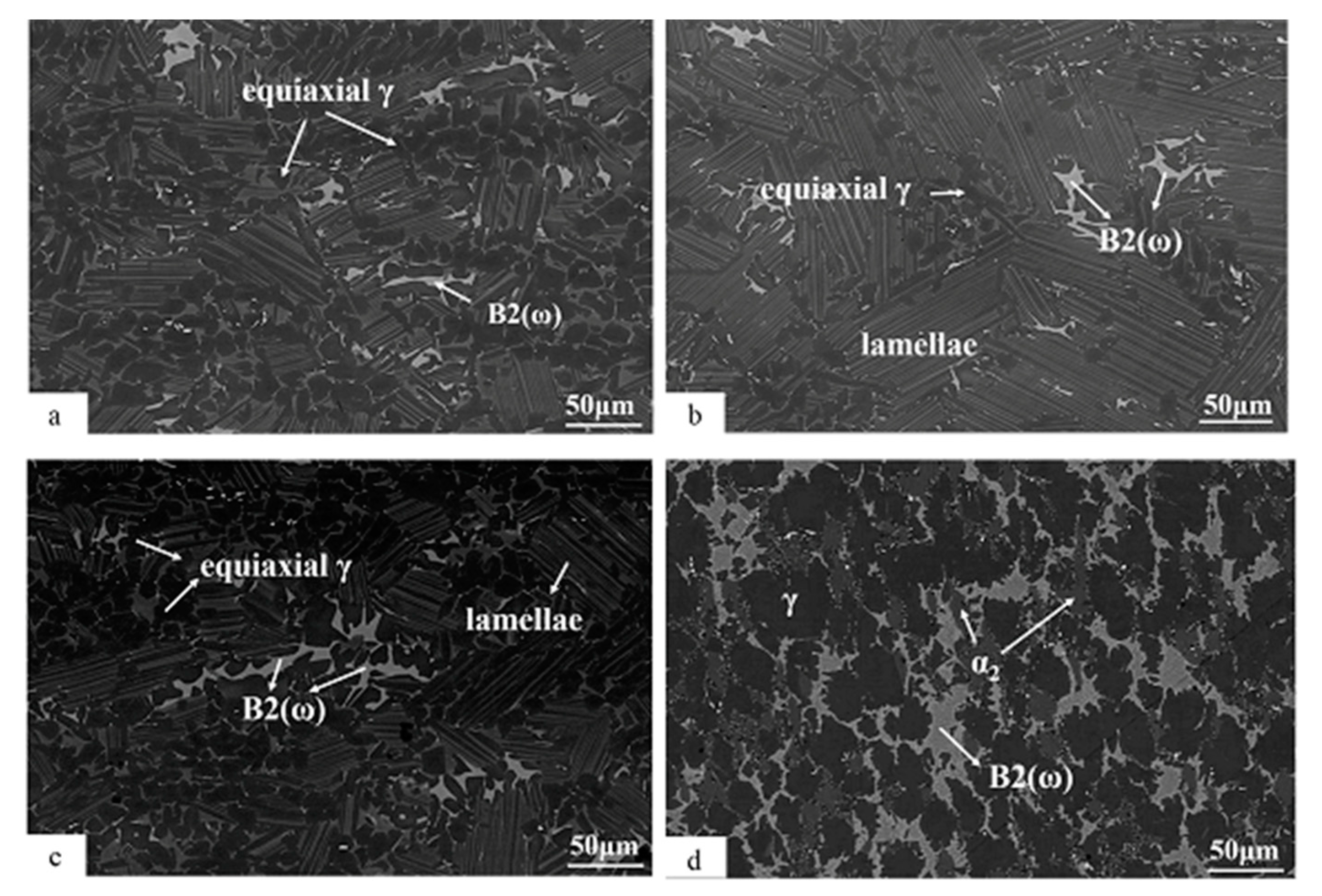 Materials 13 01638 g001 Materials 13 01638 g001