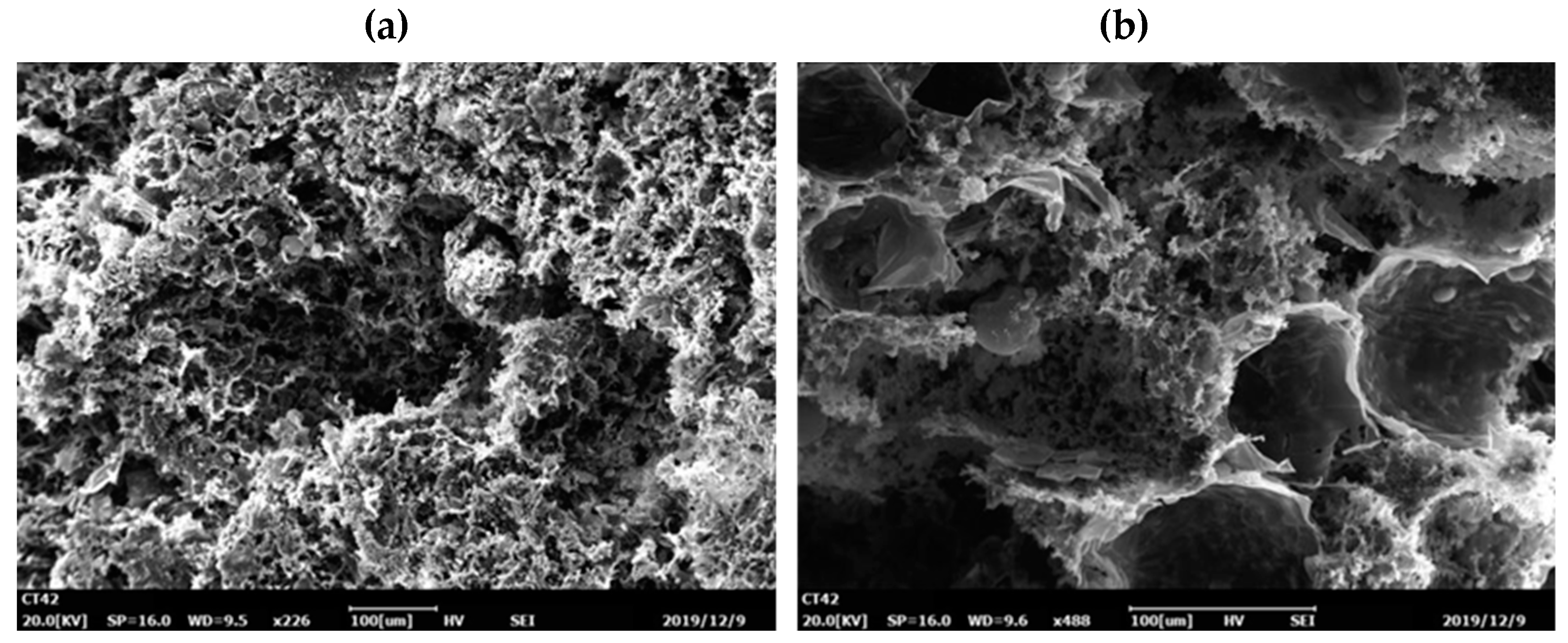 Materials 13 01645 g005