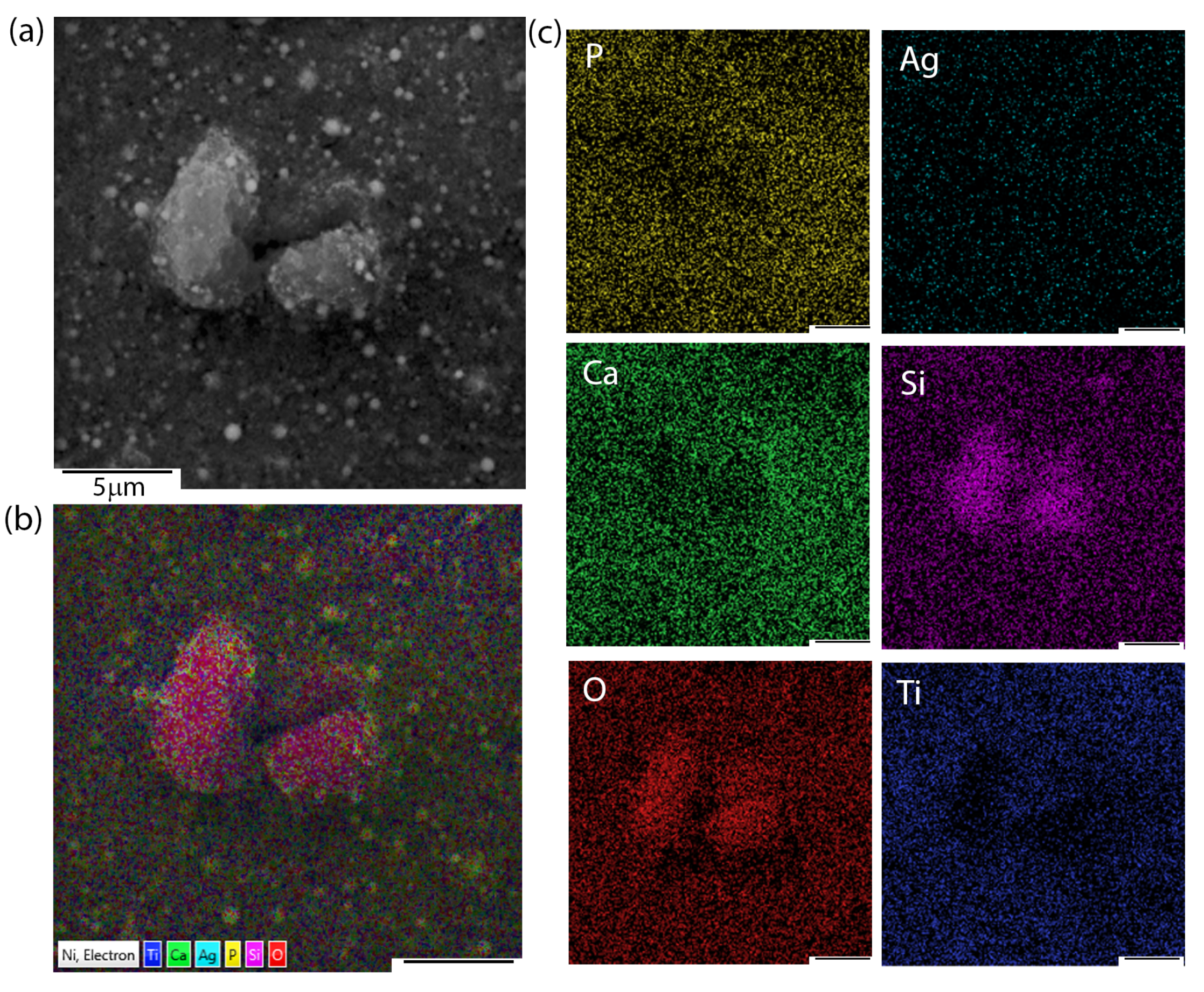 Materials 13 01648 g002