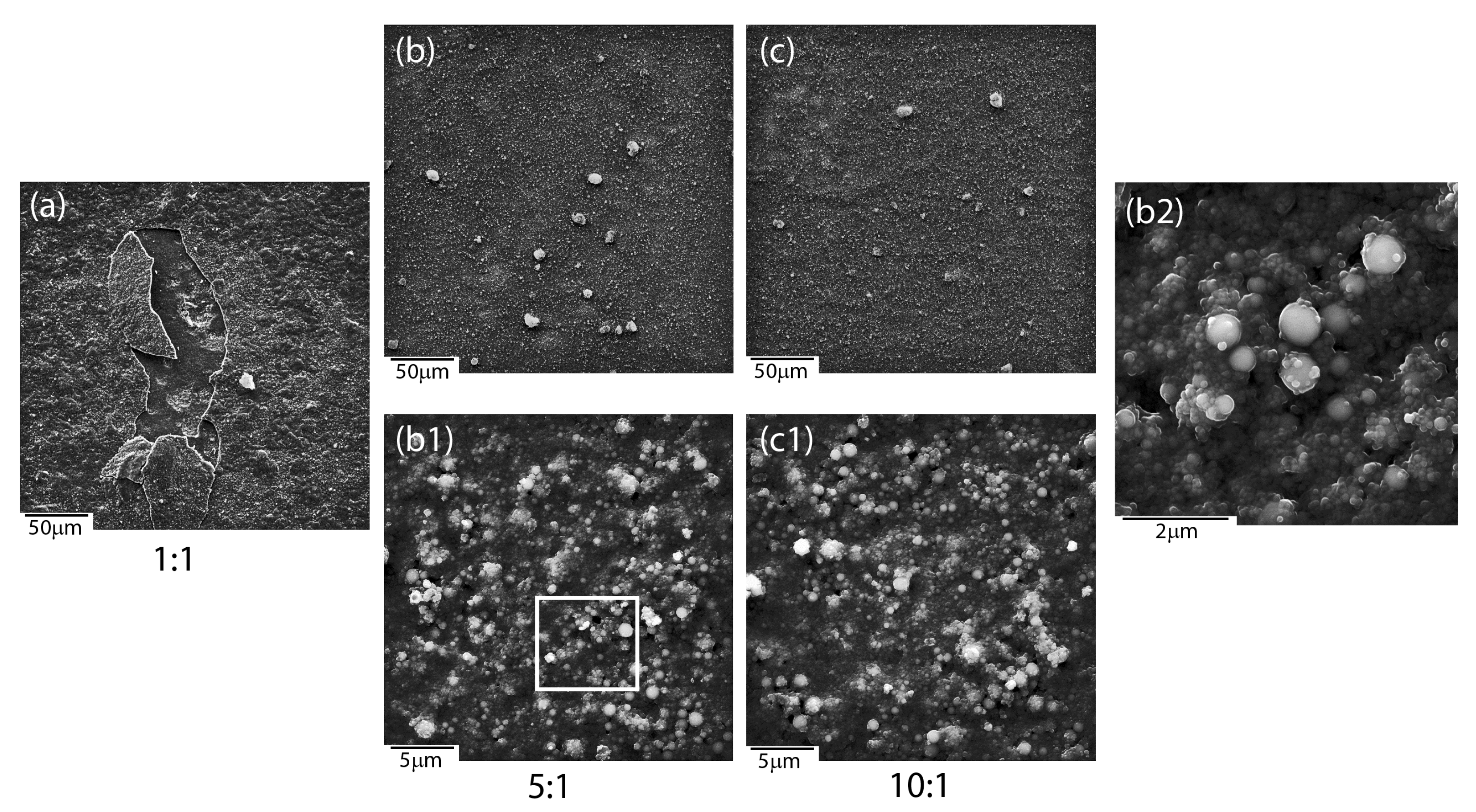 Materials 13 01648 g005