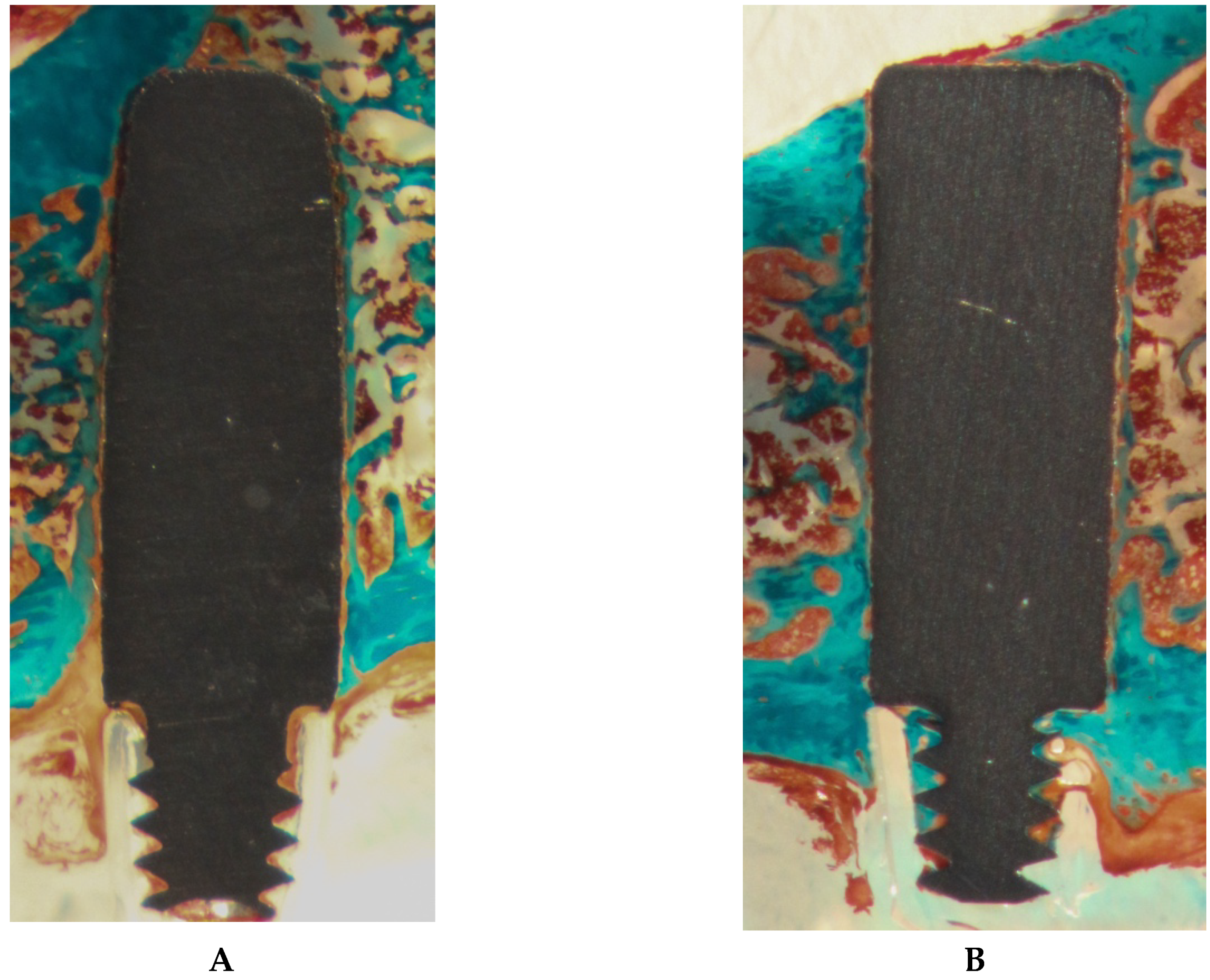 Materials 13 01670 g006 Materials 13 01670 g006