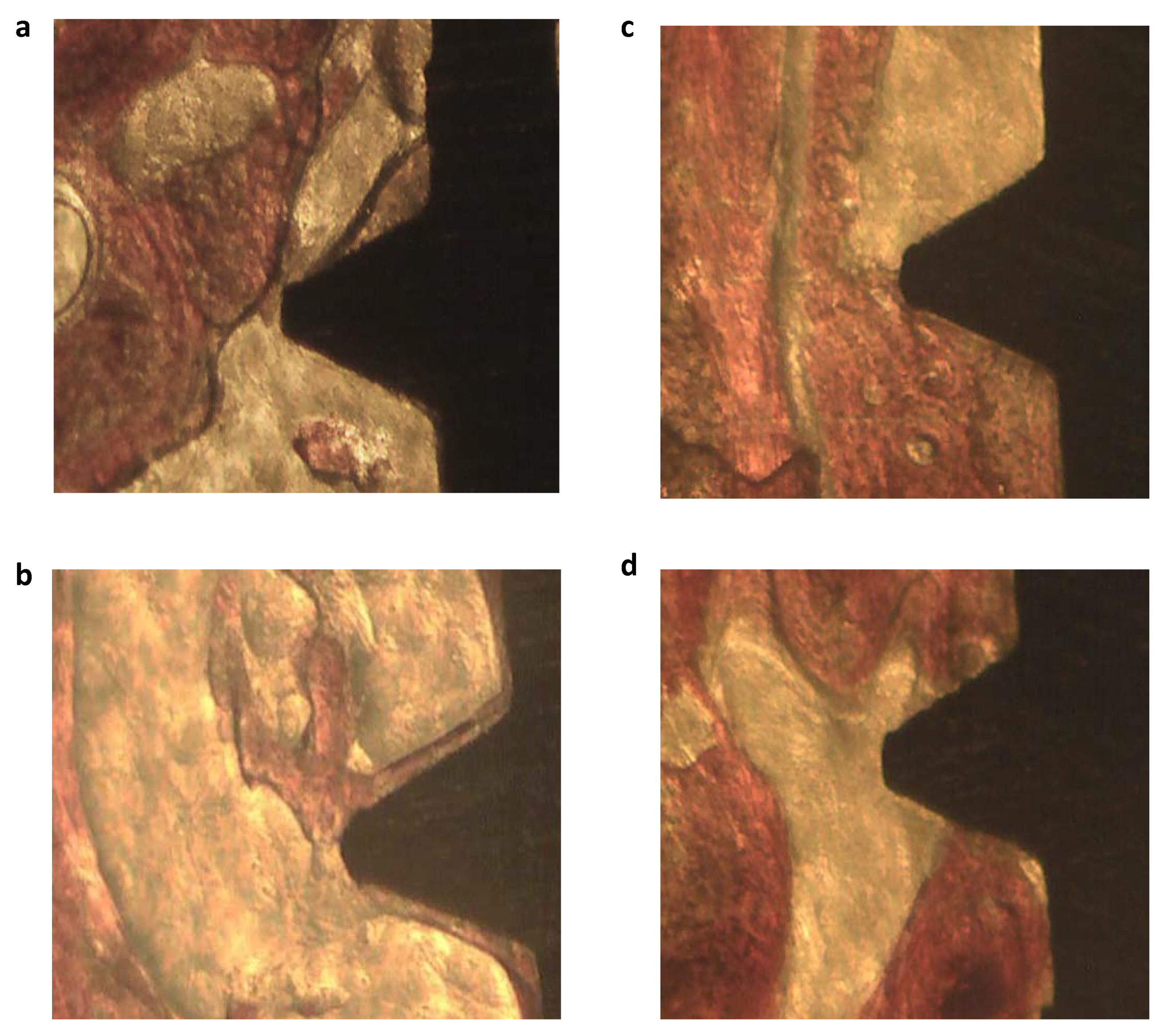 Materials 13 01671 g001 Materials 13 01671 g001
