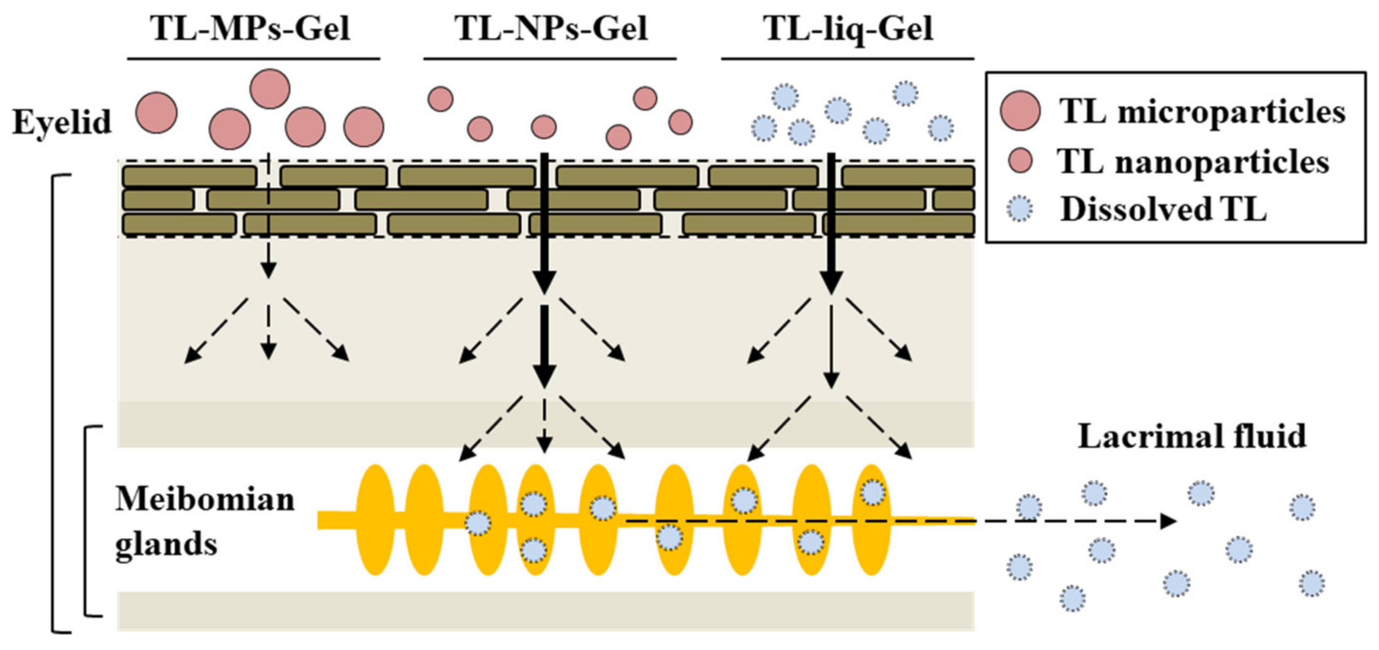 Materials 13 01675 g006