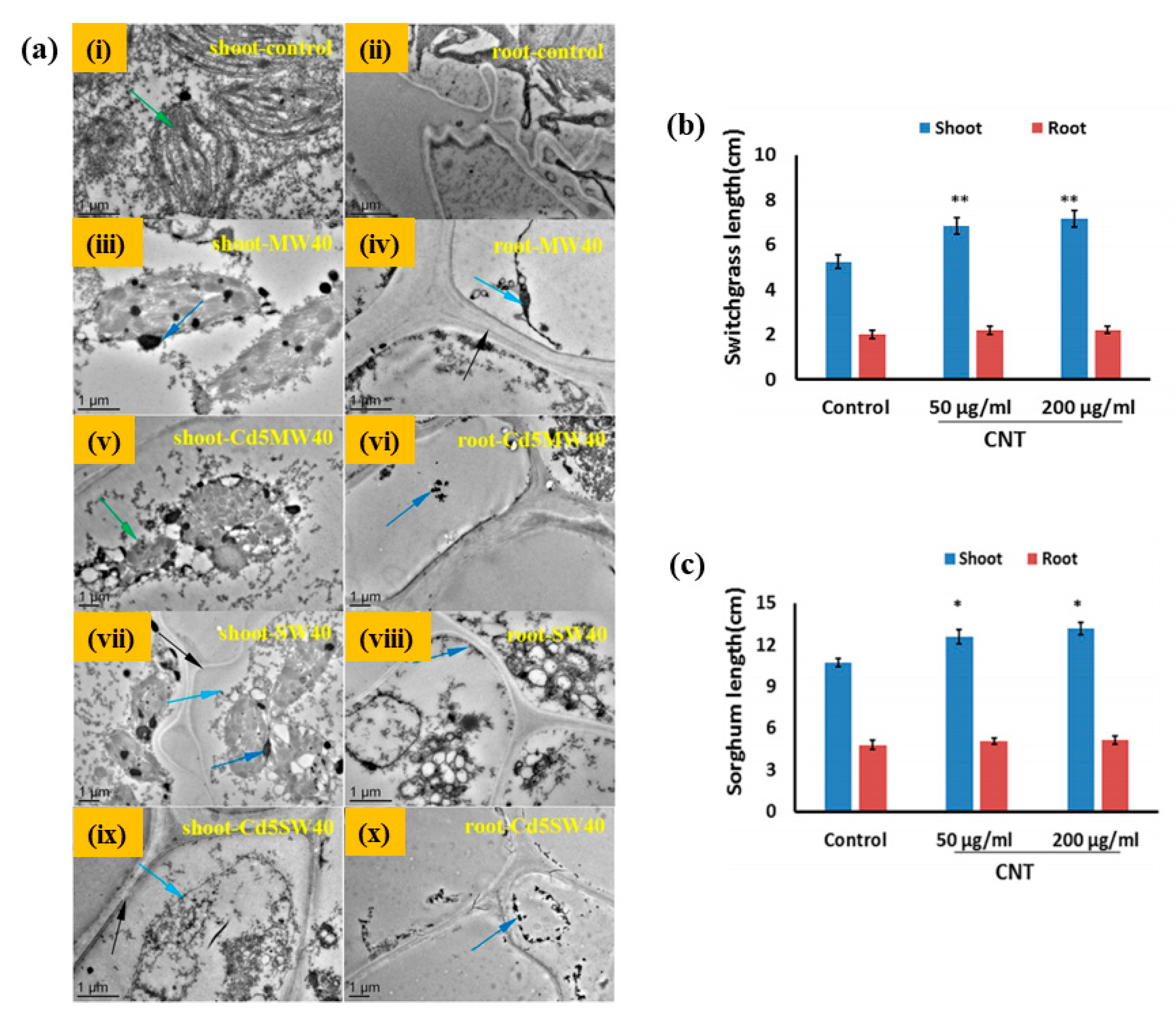 Materials 13 01679 g004 Materials 13 01679 g004