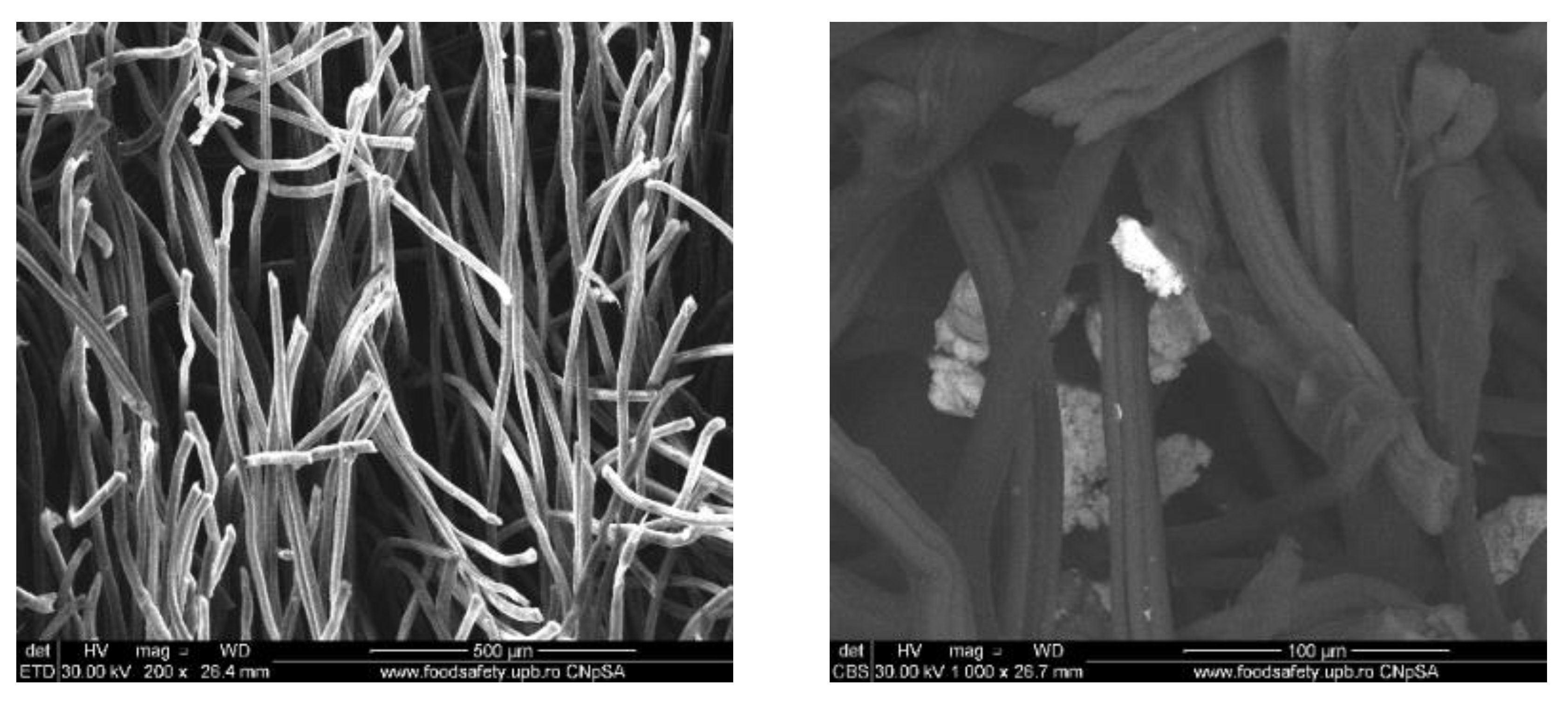 Materials 13 01682 g004 Materials 13 01682 g004