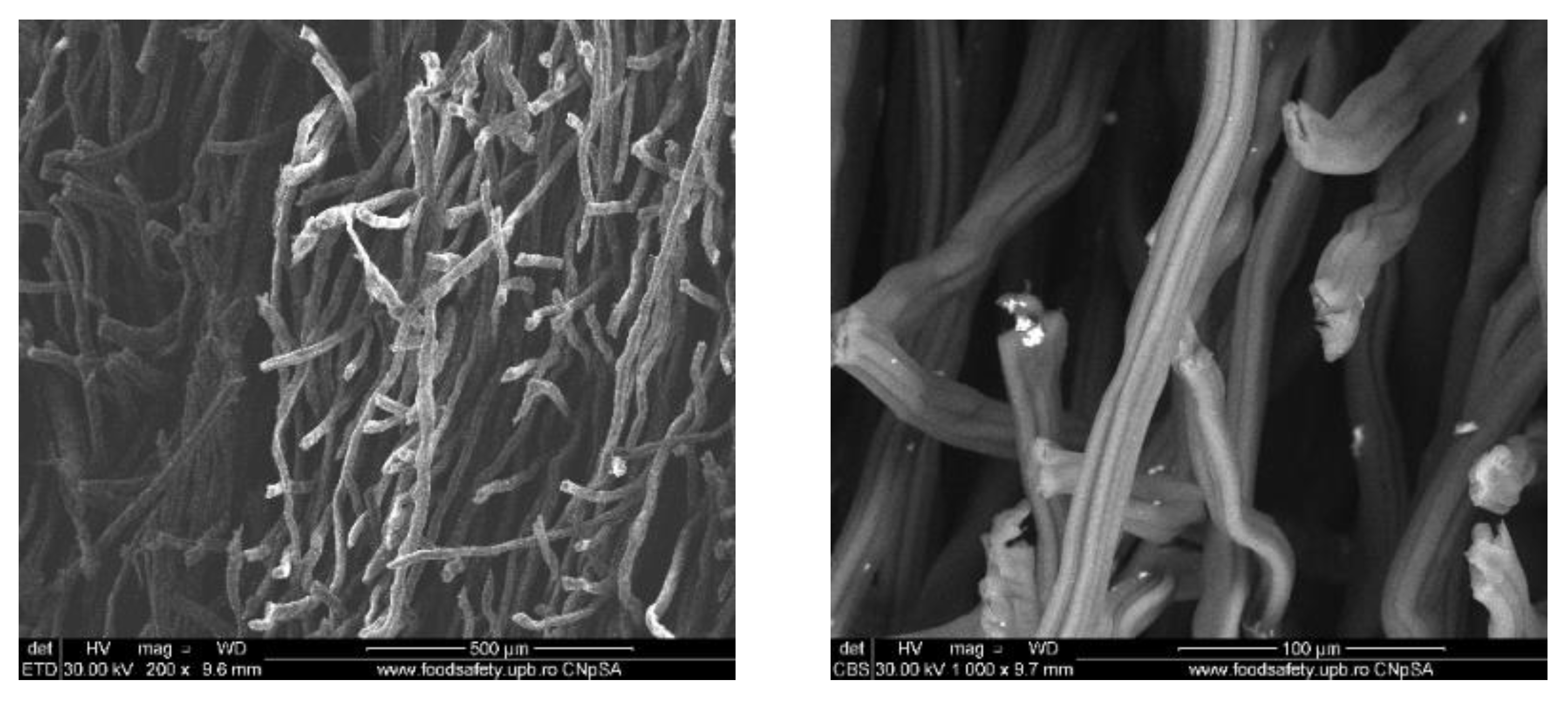 Materials 13 01682 g005 Materials 13 01682 g005