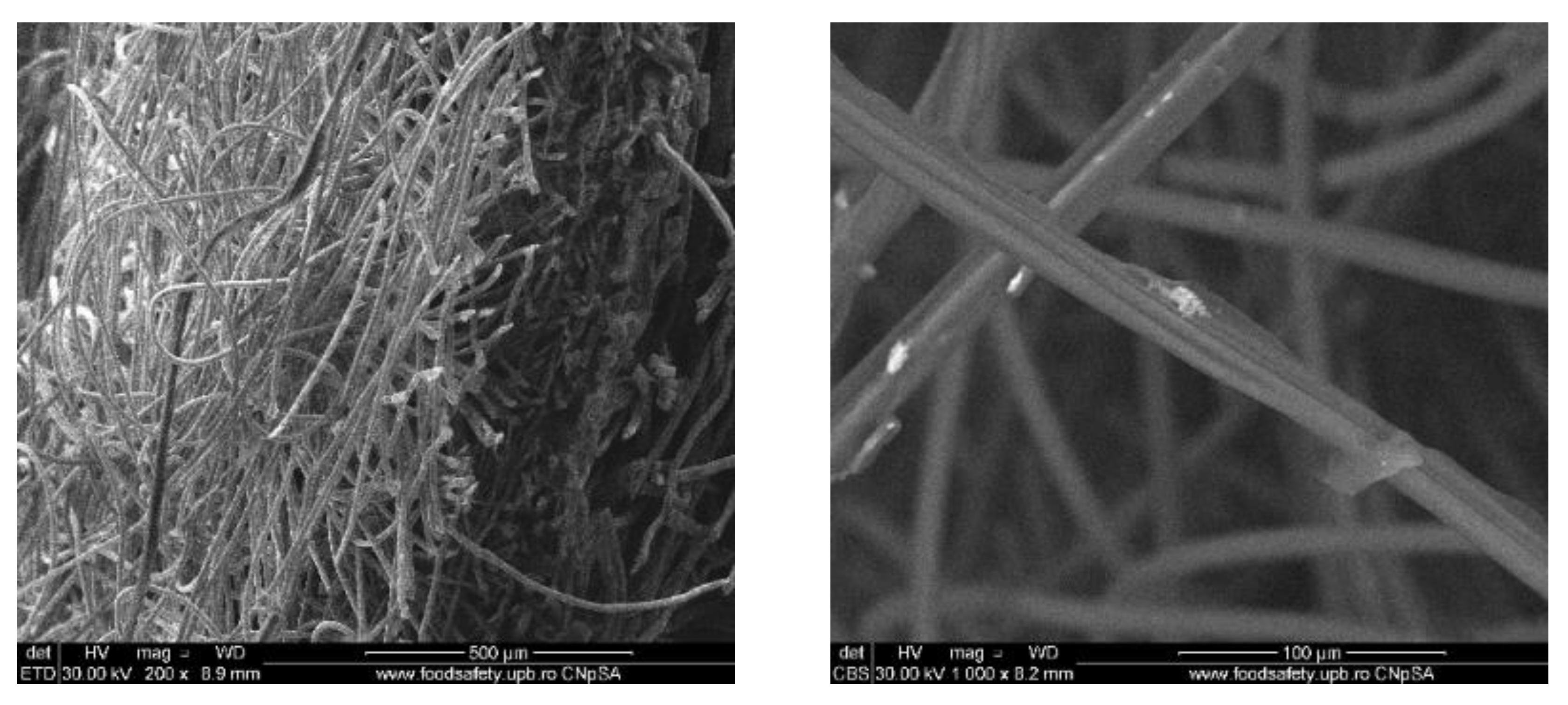 Materials 13 01682 g006 Materials 13 01682 g006