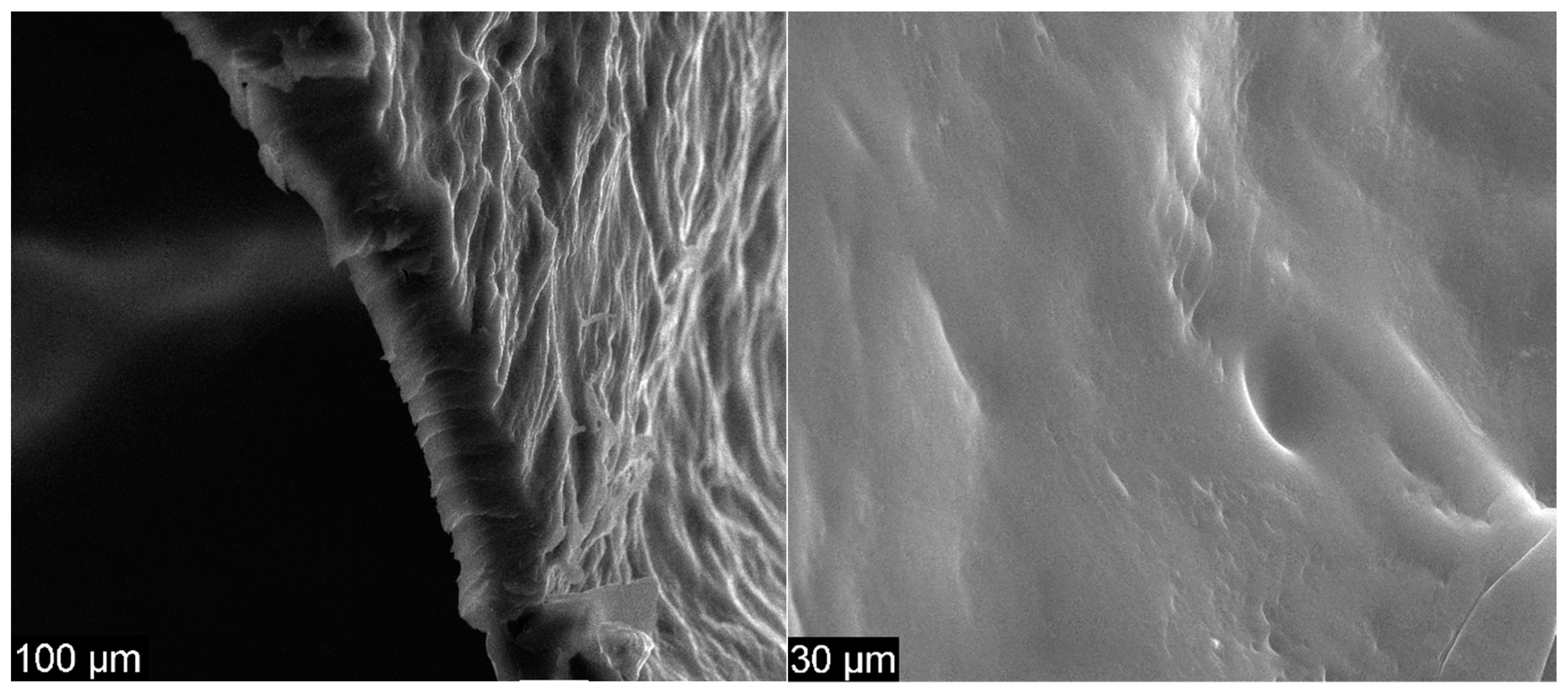 Materials 13 01687 g005