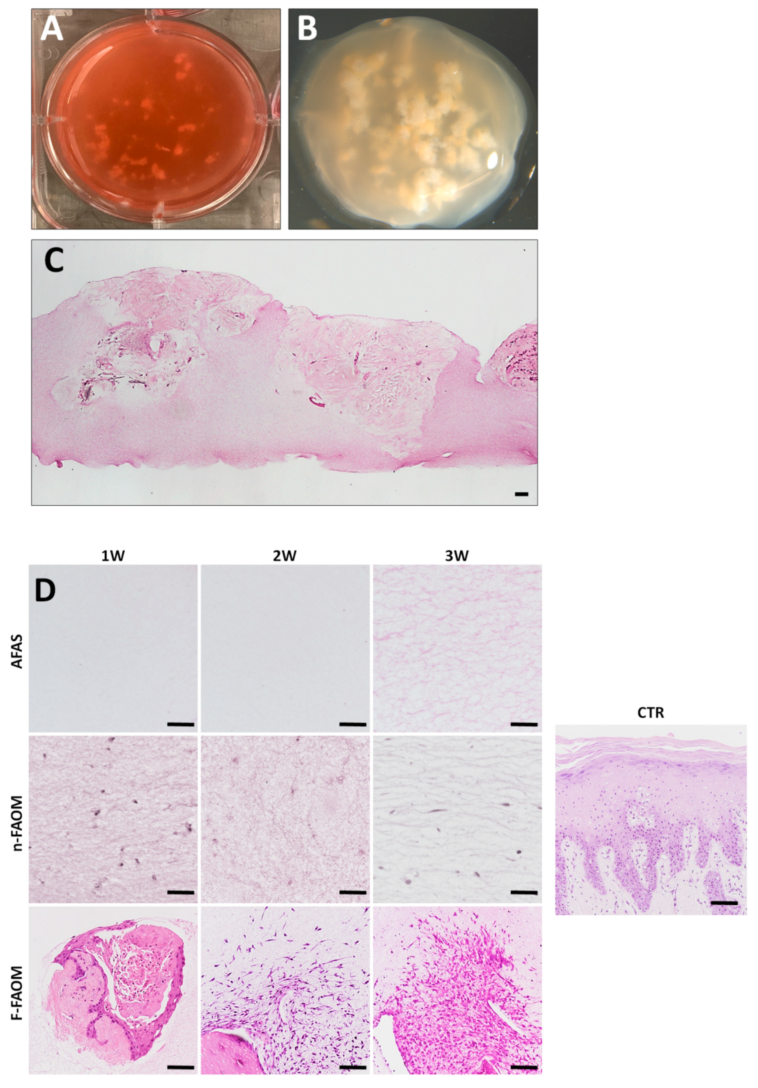 Materials 13 01692 g001