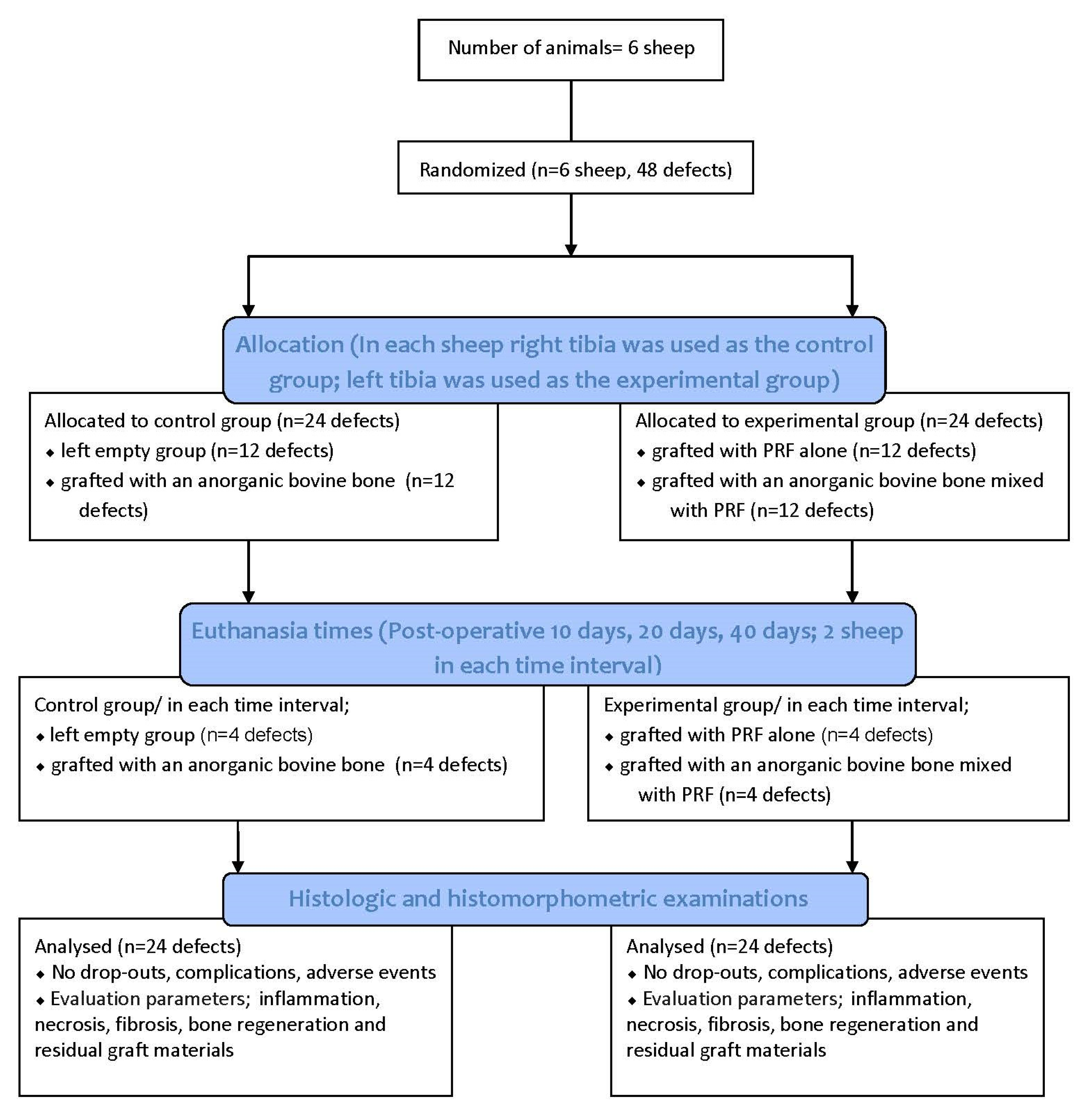 Materials 13 01695 g001 Materials 13 01695 g001