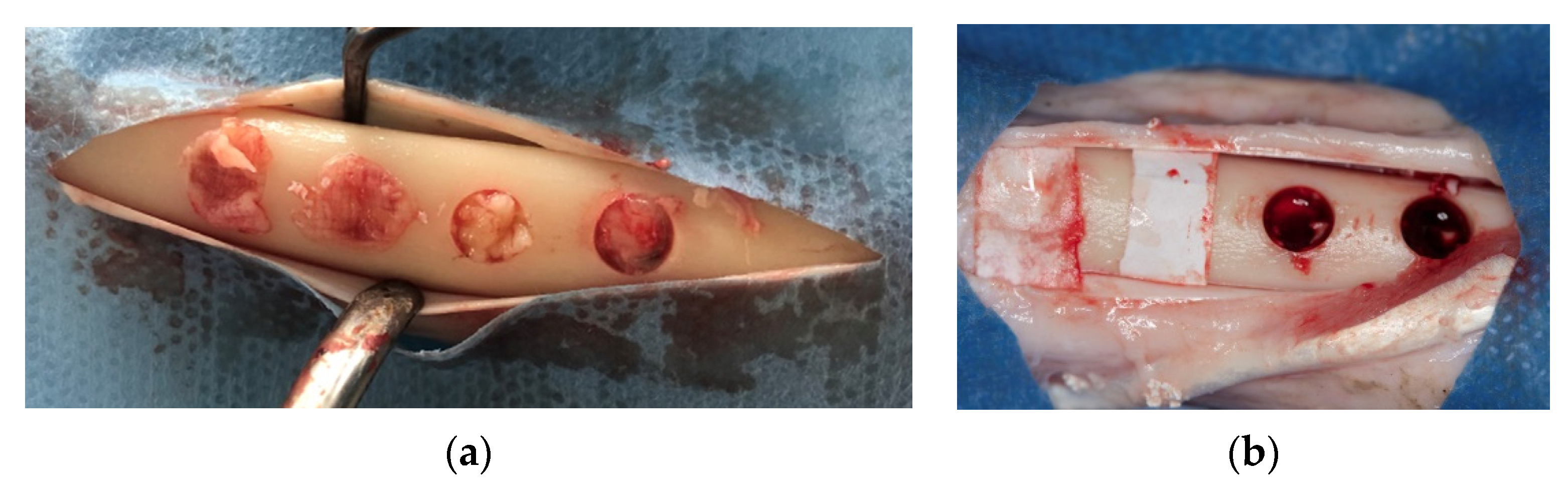 Materials 13 01695 g002 Materials 13 01695 g002