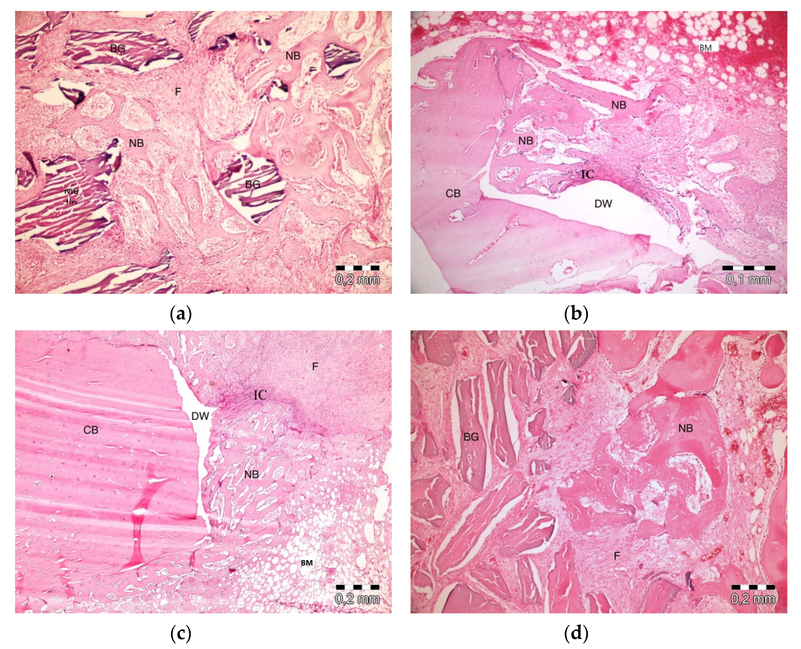Materials 13 01695 g003 Materials 13 01695 g003