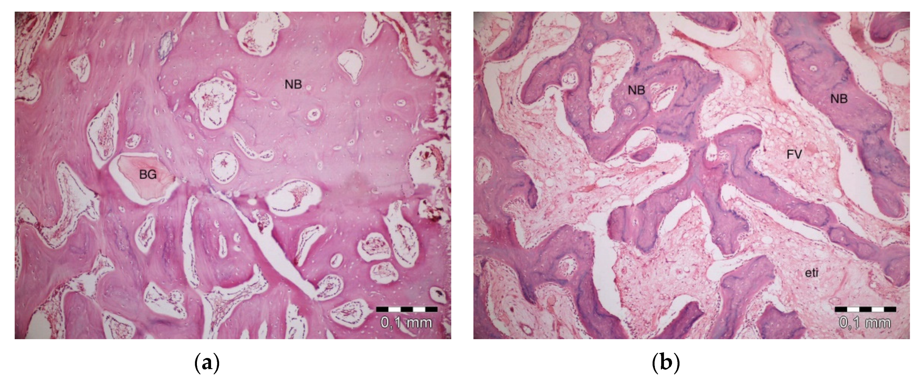 Materials 13 01695 g005a Materials 13 01695 g005a